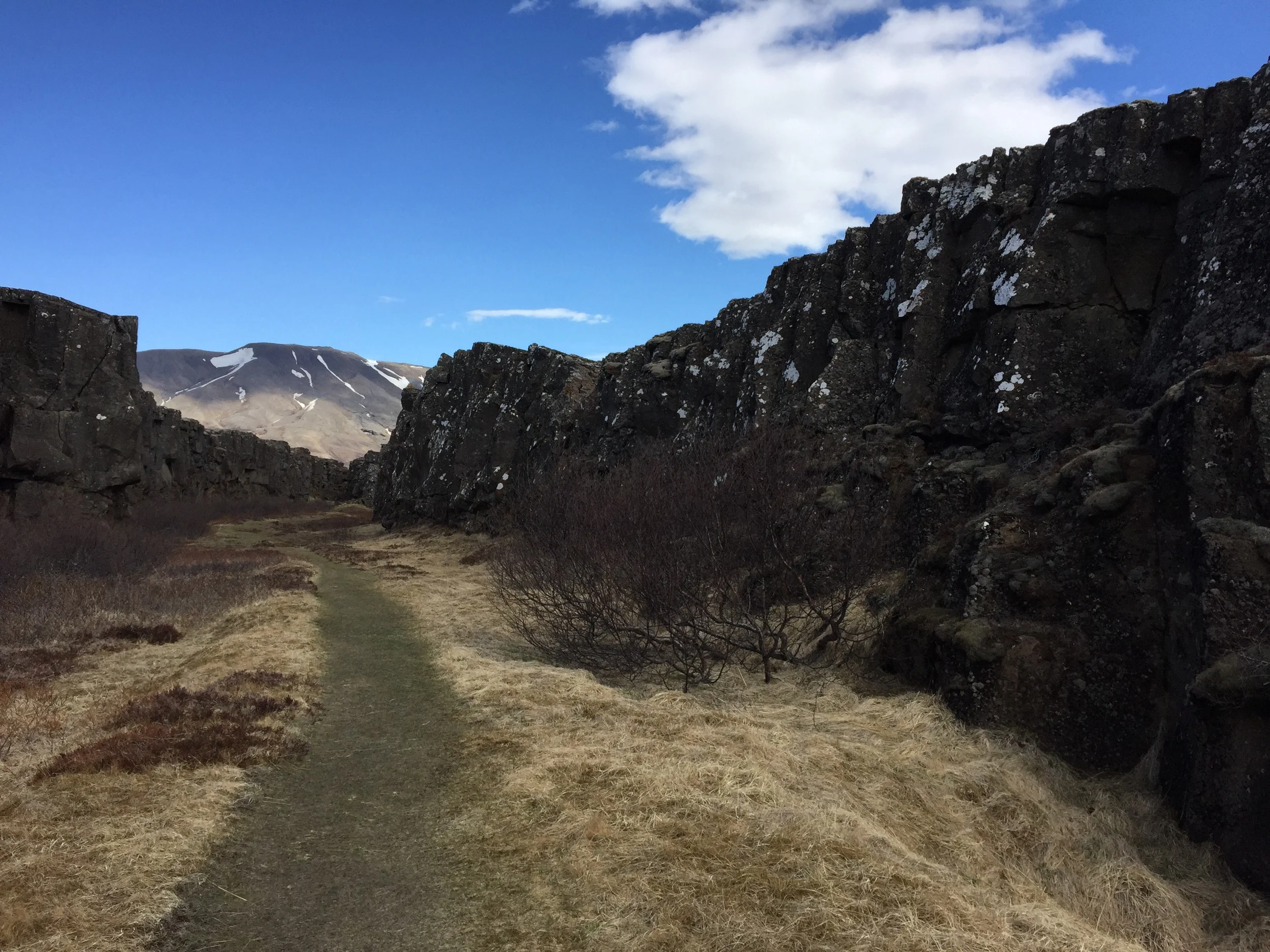 Mini canyons at Þingvellir National Park on the Golden Circle.