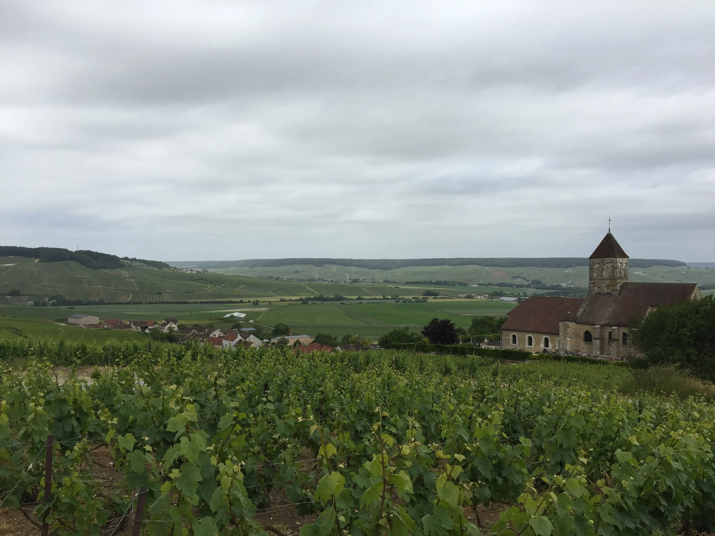 A view from the top of Cuis looking at the Coteaux Sud d'Epernay and the Vallée de la Marne
