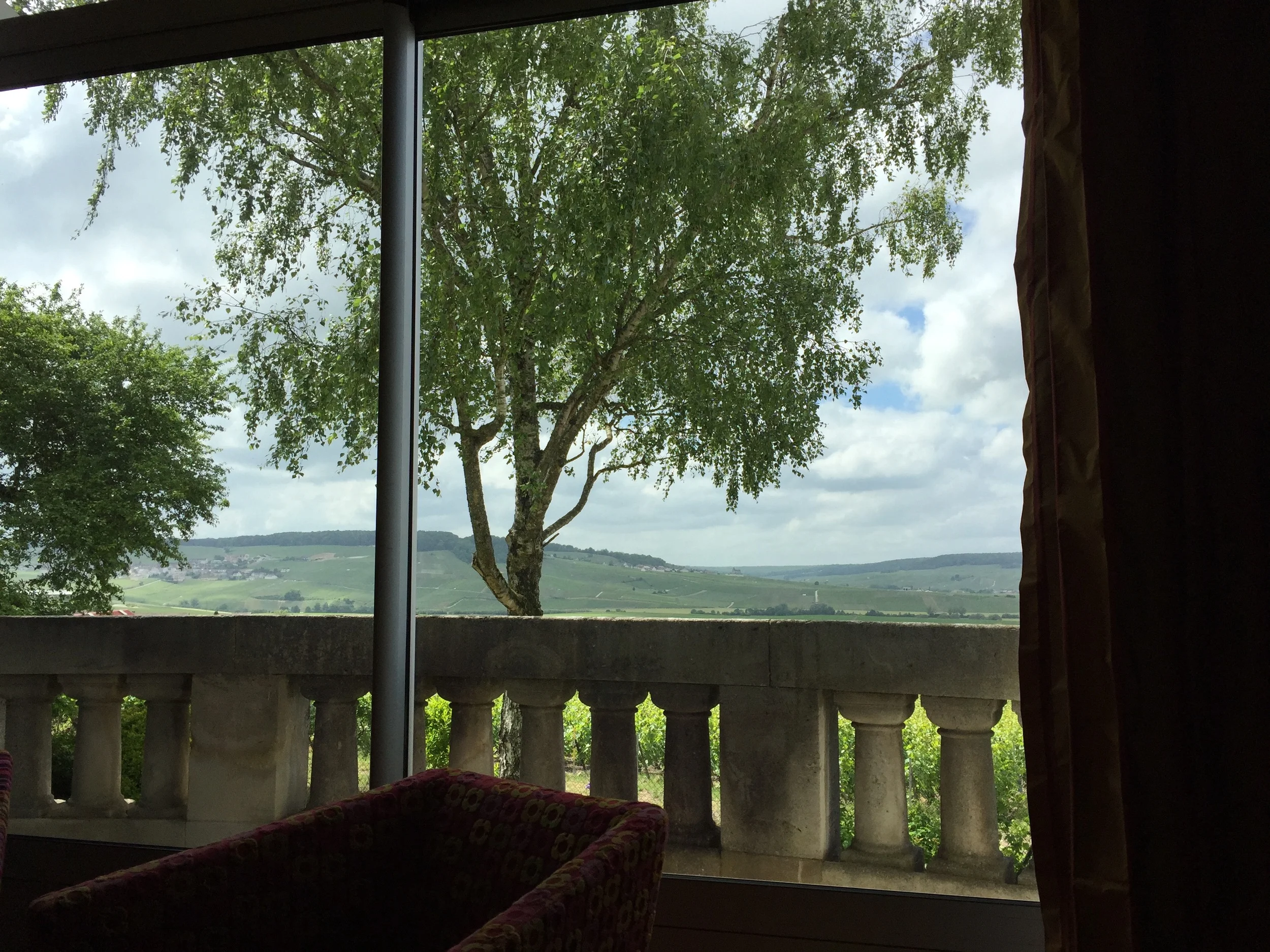 View from Gimmonet's tasting room looking at the Coteaux Sud and Vallée de la Marne