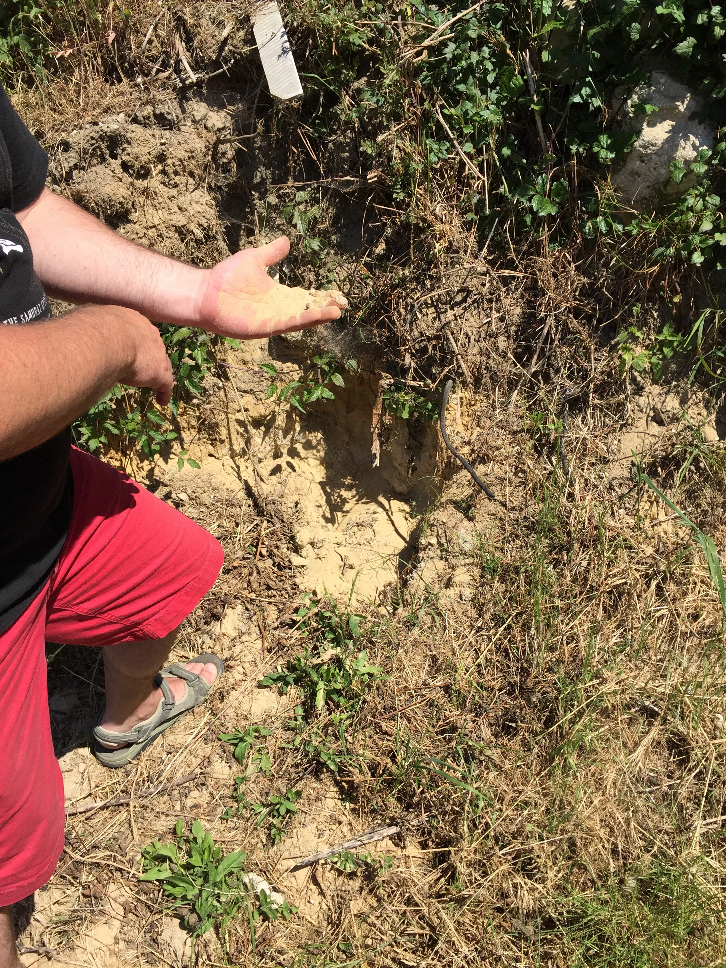 Benoît showing off the sandy subsoils