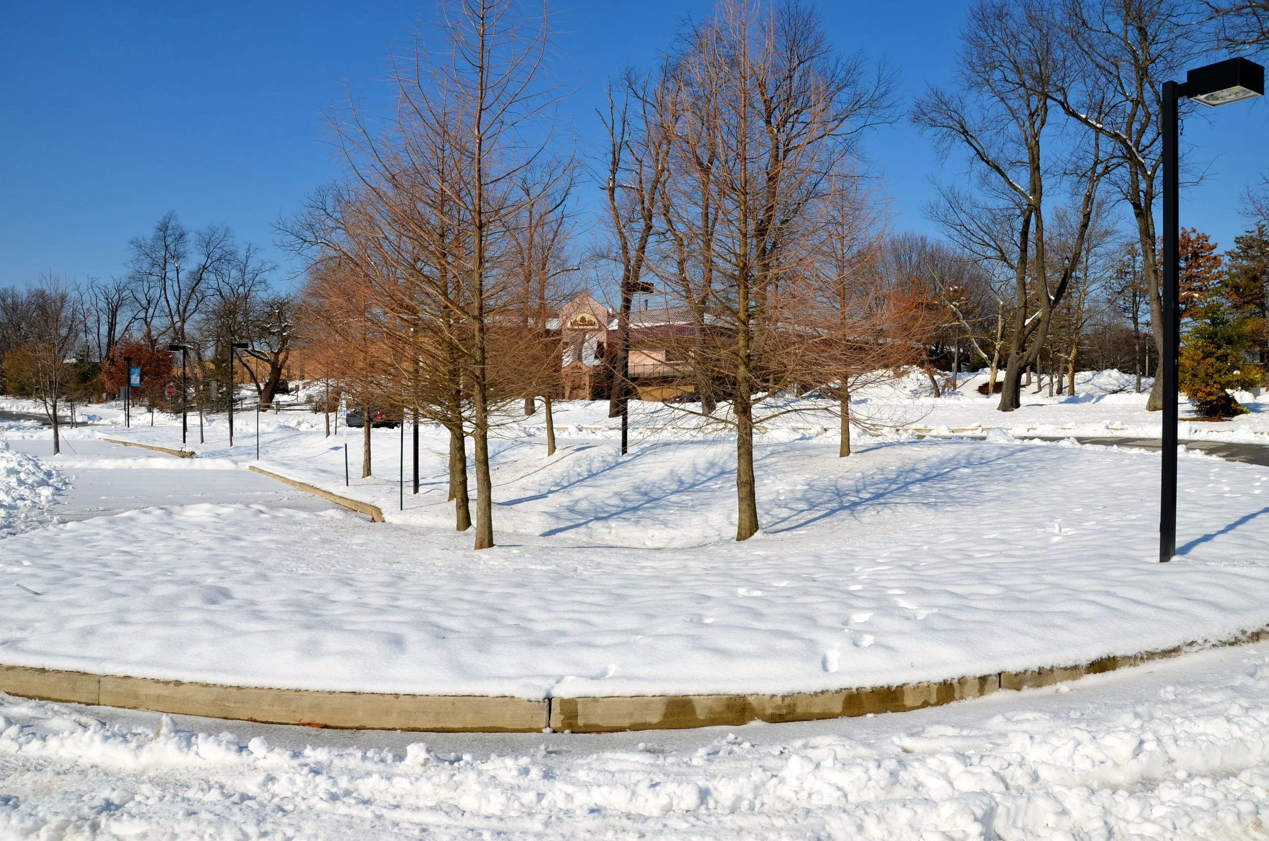 DSC_3275.jpg