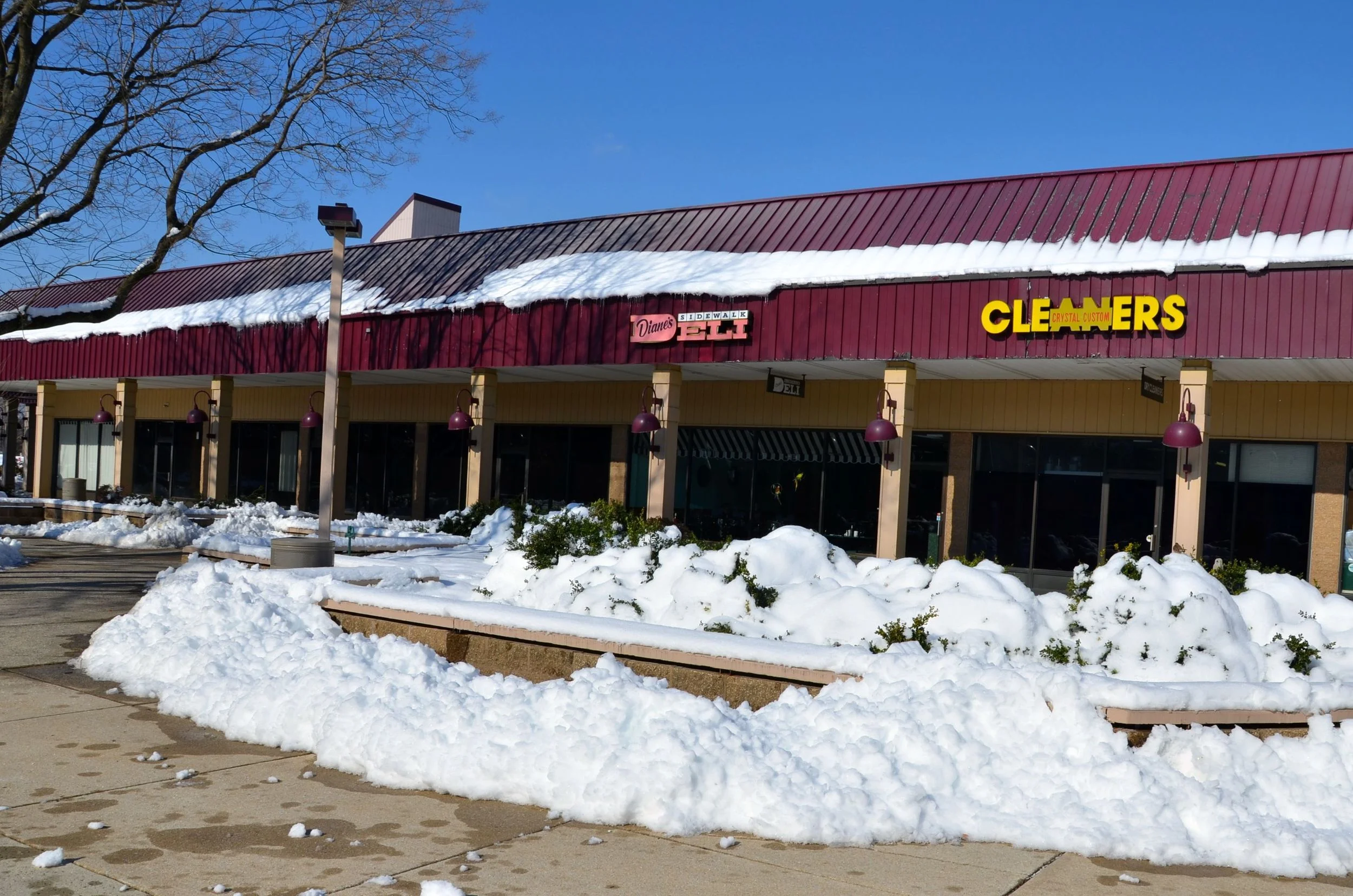 DSC_3300.jpg