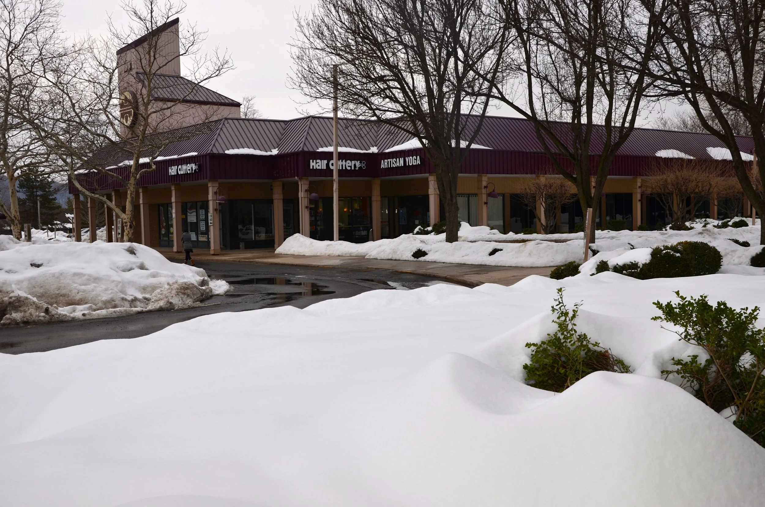 DSC_3700.jpg
