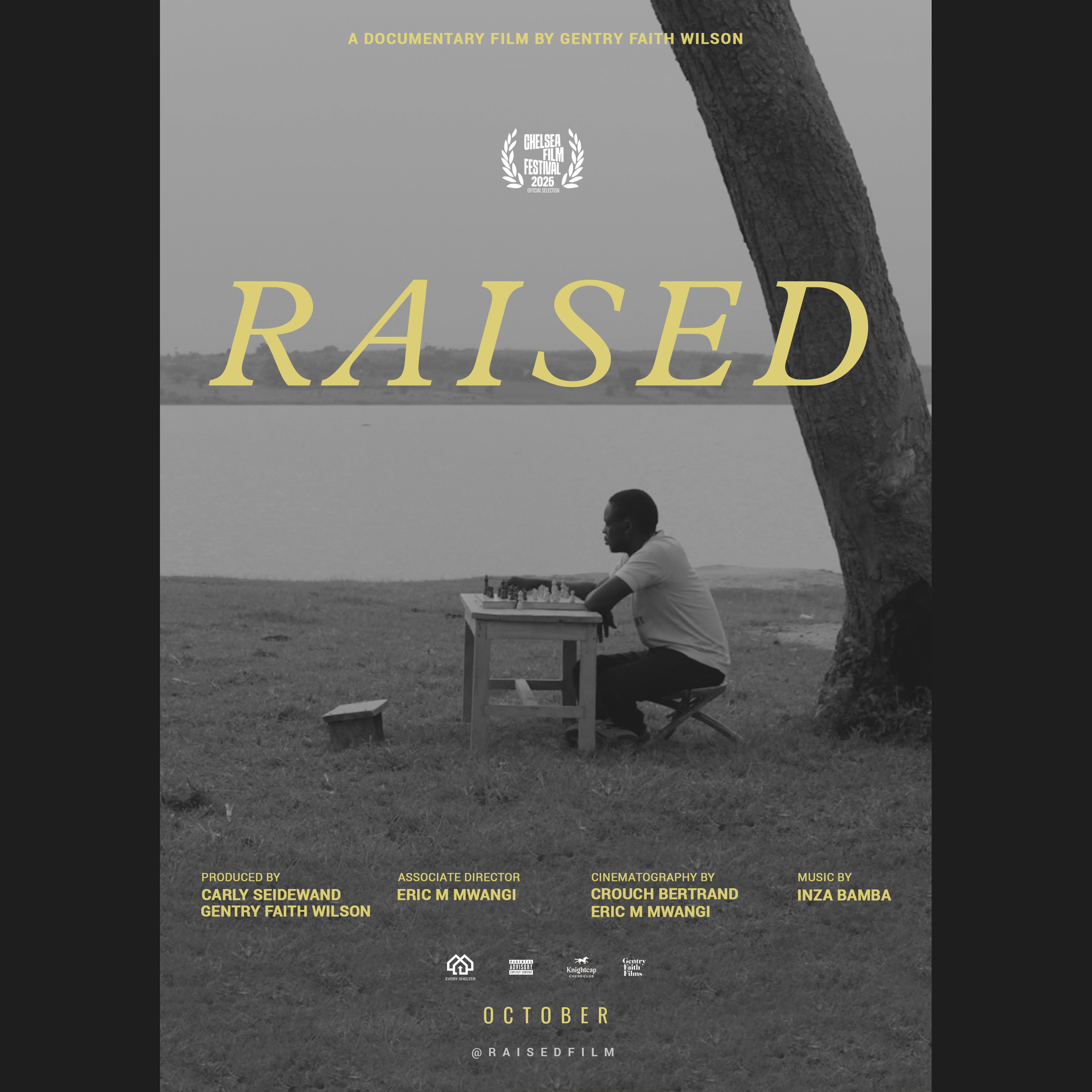 POSTER_RAISED_thumb.png