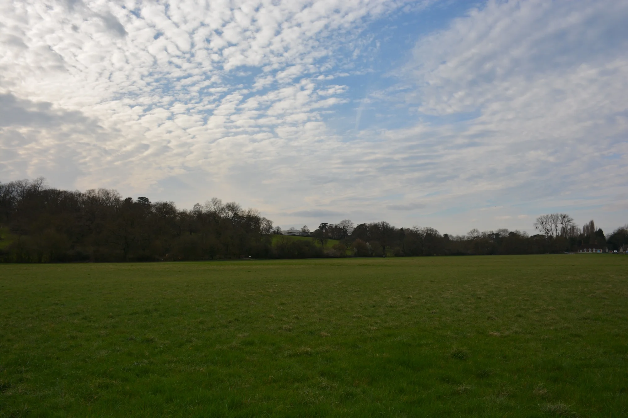 Dea Vanagan joins Situations as Associate Producer