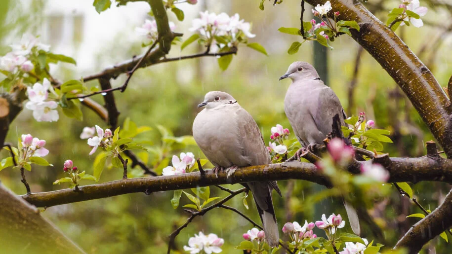 Spring in the Air and a Spring is in our Step!