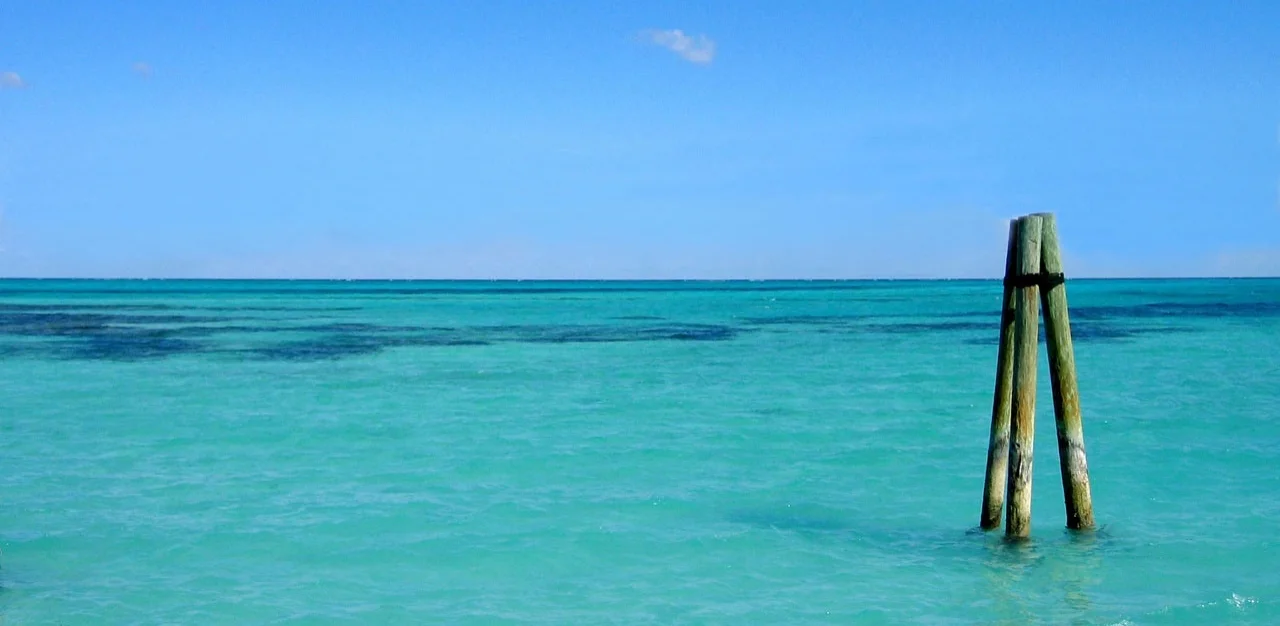 ocean_view.jpg