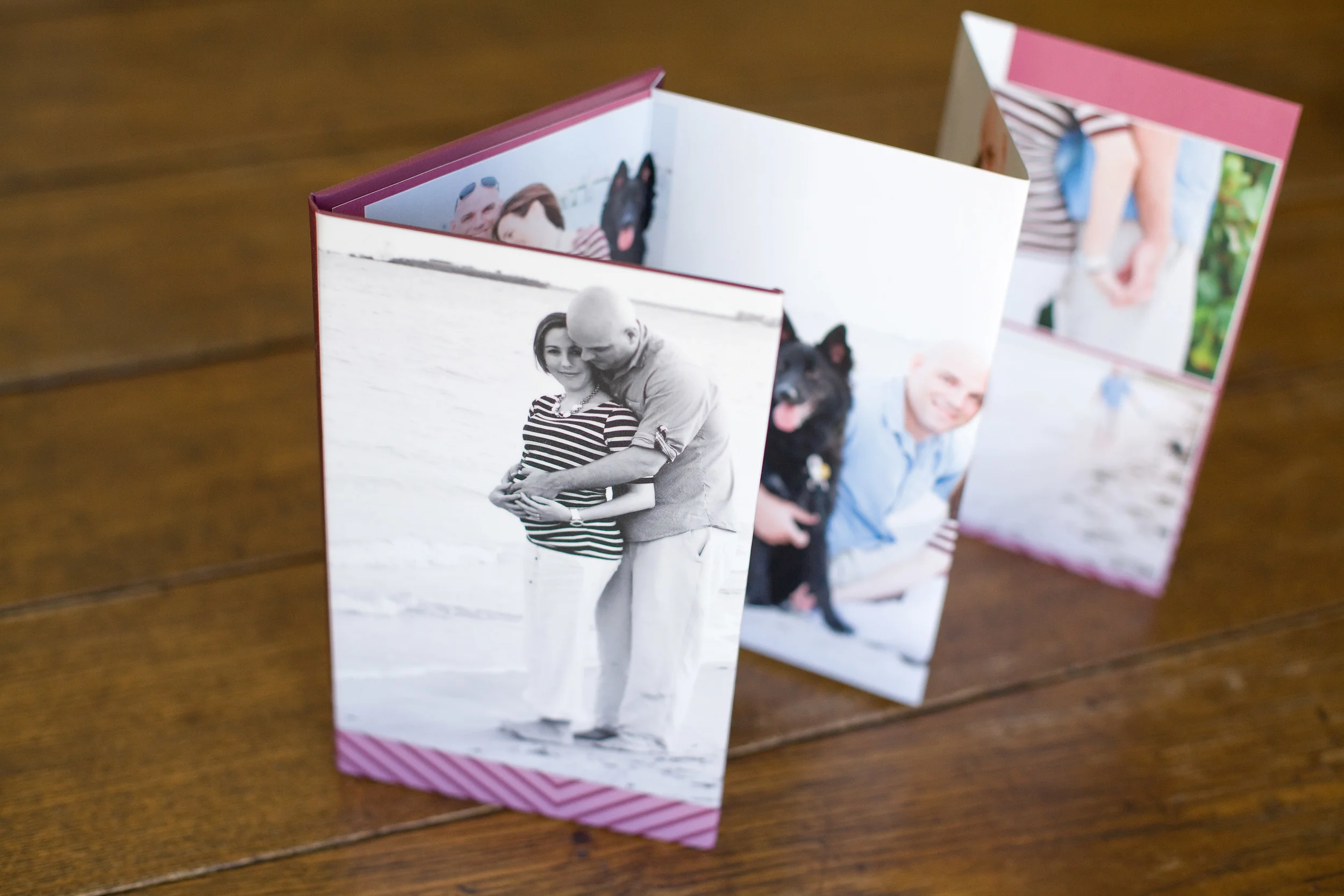 PHOTOGRAPHER FOLD-OUT ALBUM