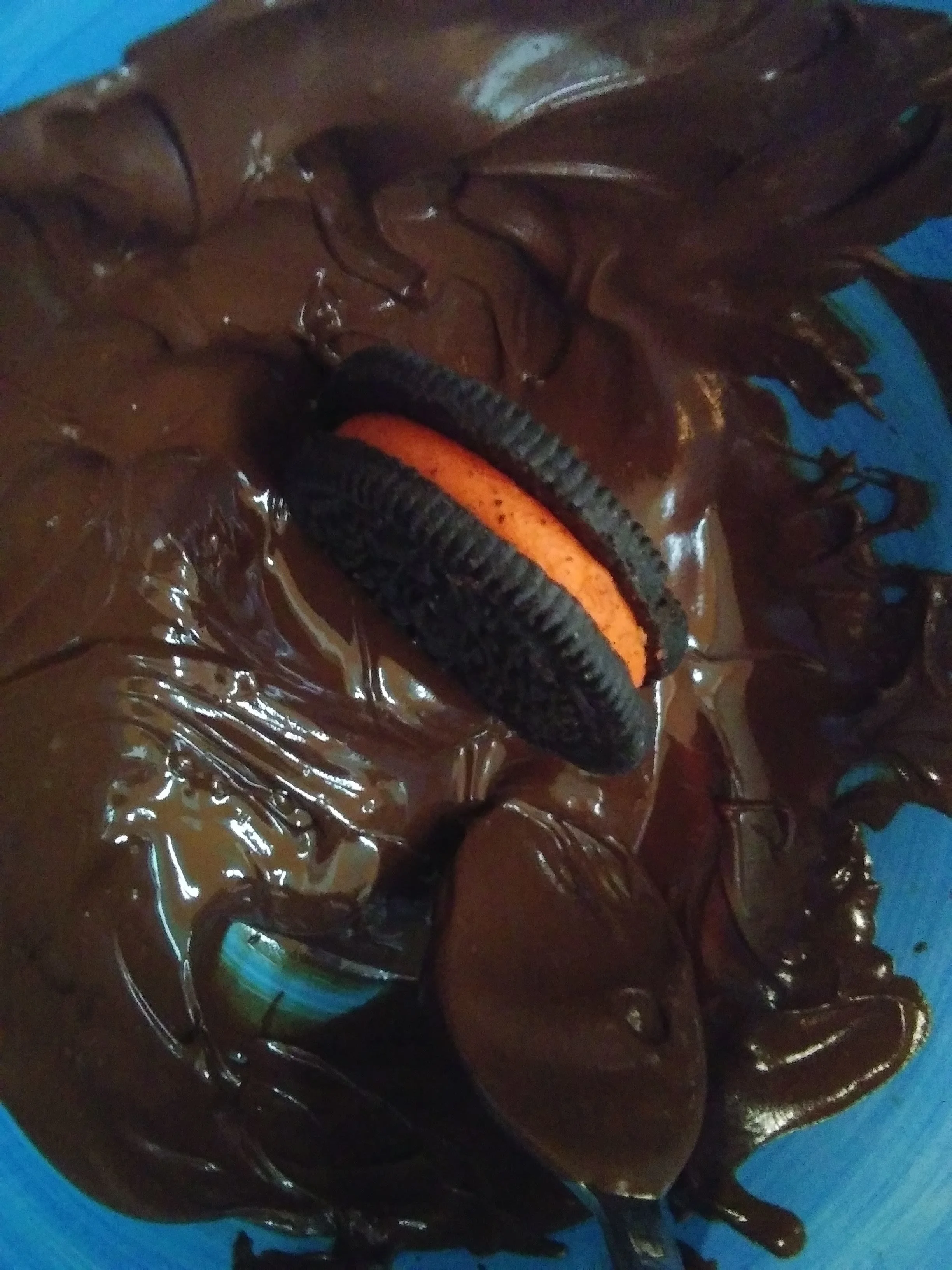 oreochocolate.jpg