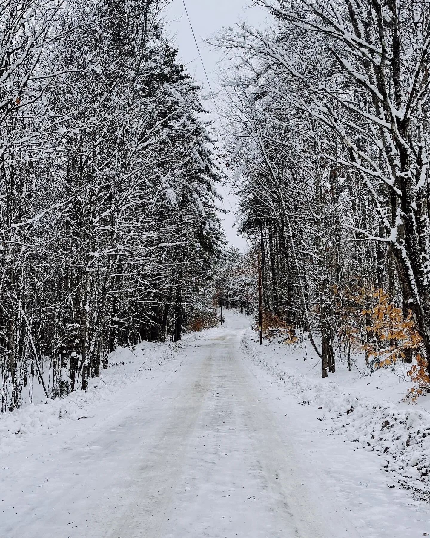 Weekend Reading 1.7.24