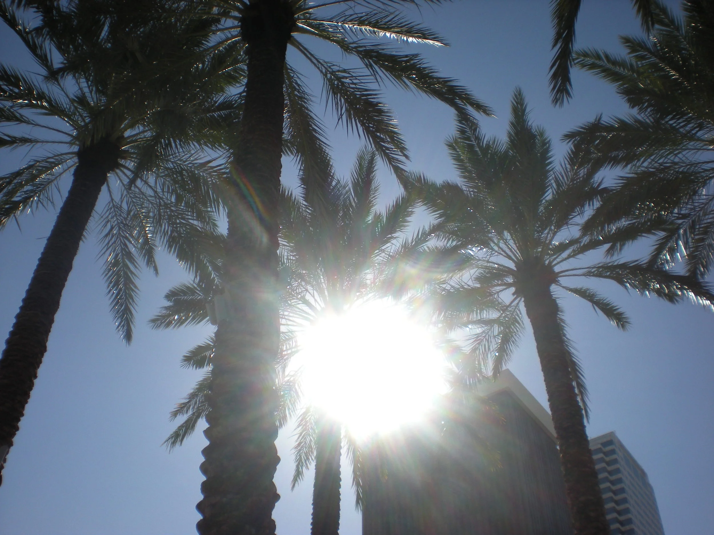 HOT, HOT, HOT: Savoring the Florida sunshine.