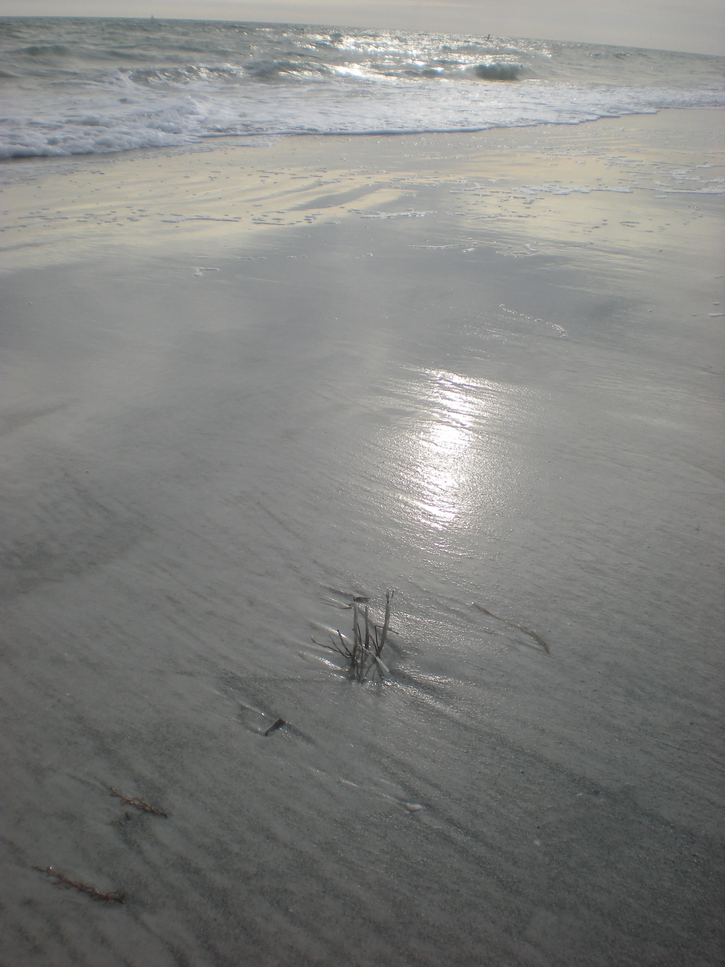 DSCN0895.JPG