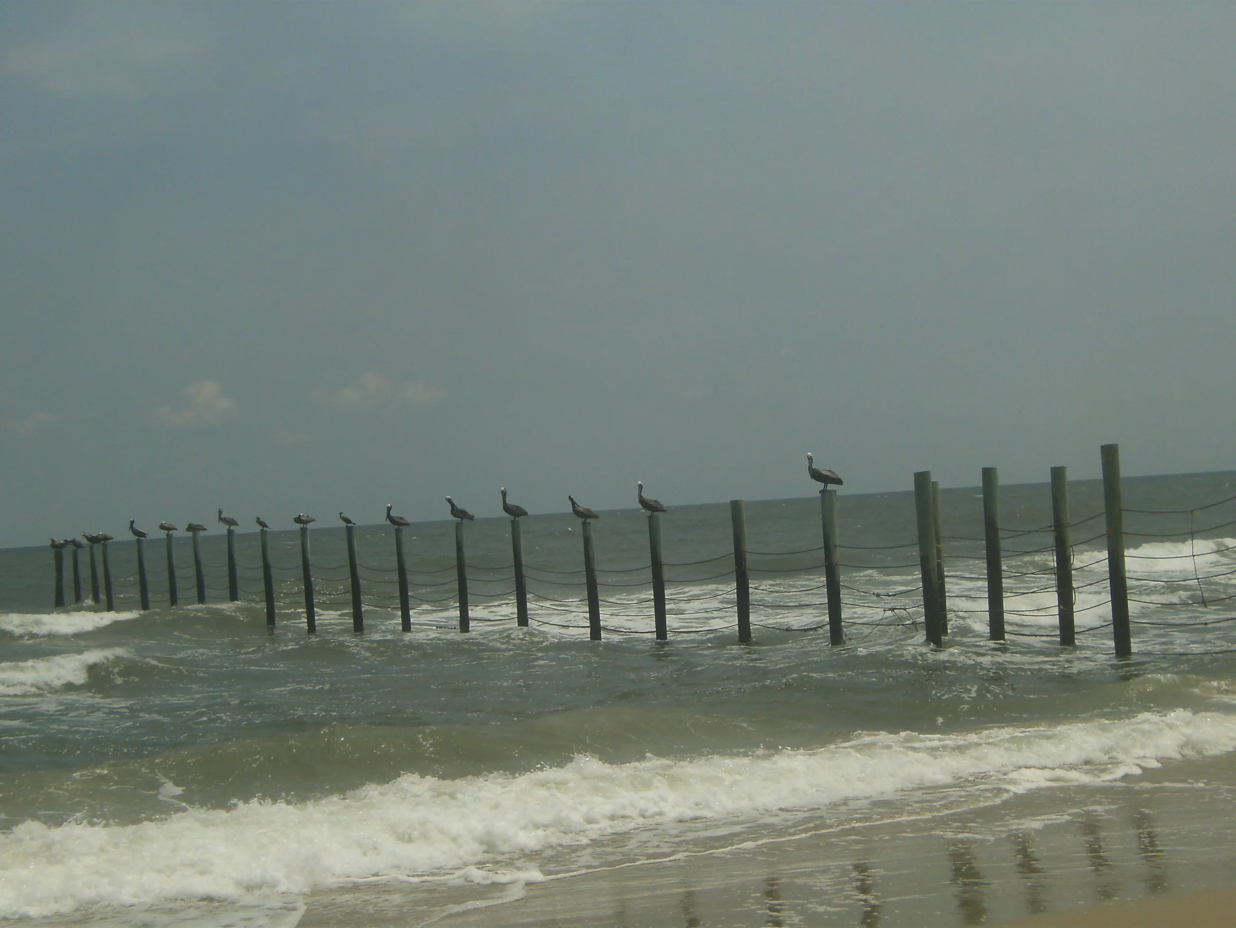 Corova Beach 4WD Excursion.JPG