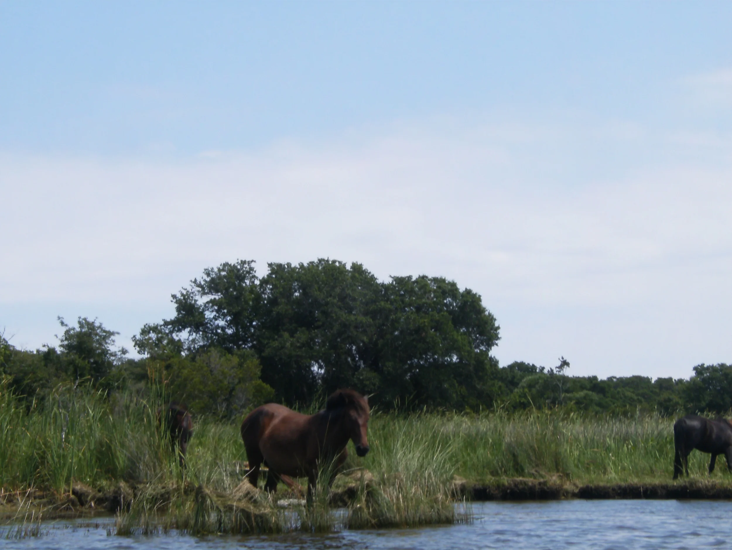 It could charge into the water.JPG