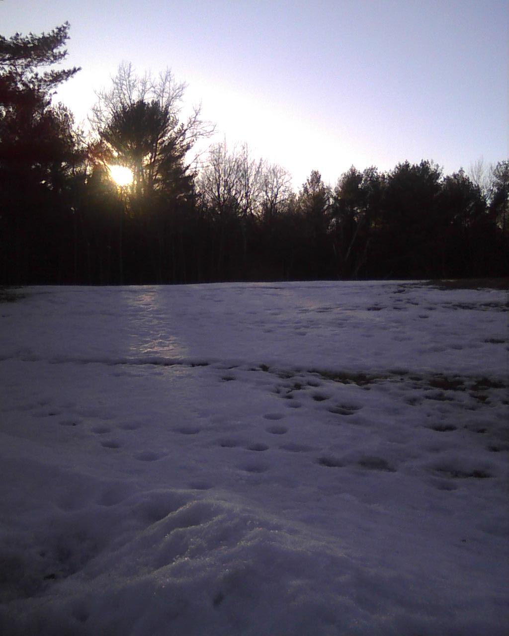 LOOKING FOR RESPITE The darkness that makes the Northeast winters so difficult, is a necessary part of the cycle of life, death and rebirth. Of course, most people wouldn't mind if that part of the cycle were a bit shorter.