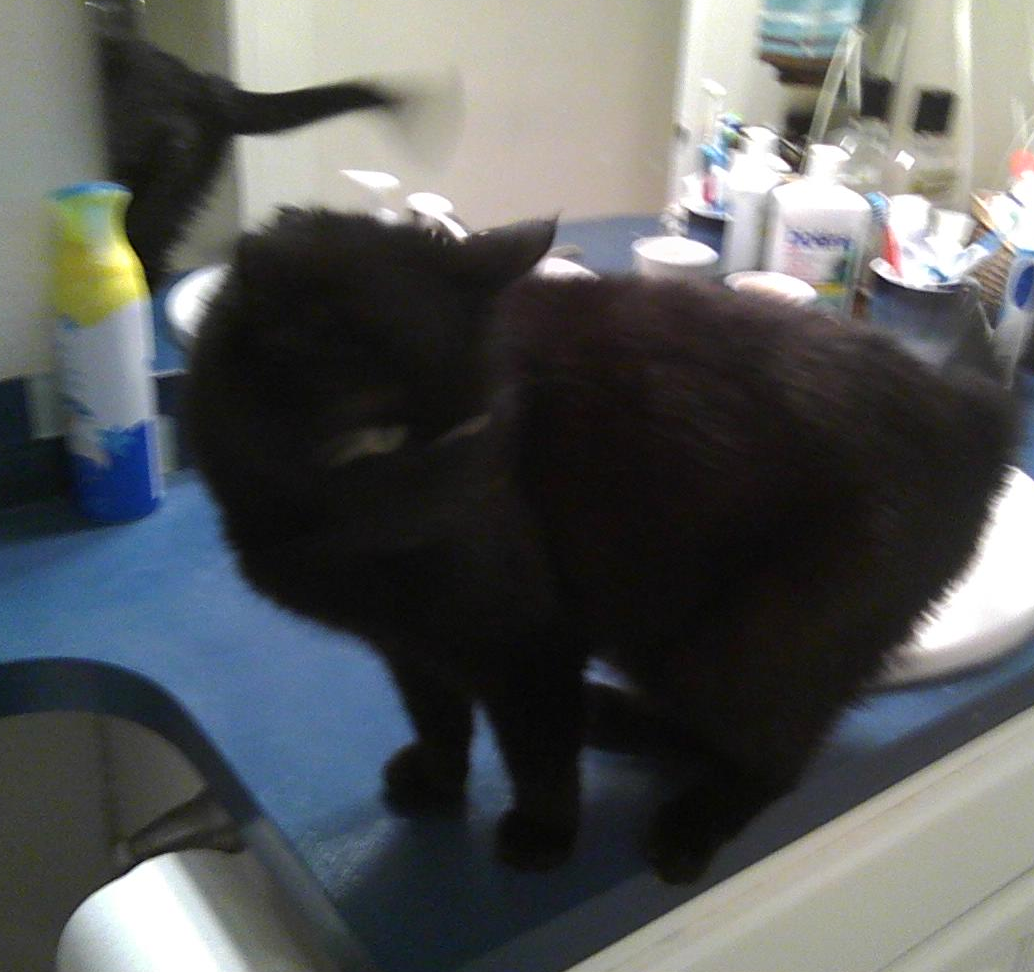 A FAIRLY RECENT LUXURY, but she doesn't care--sure, she'll help empty it...