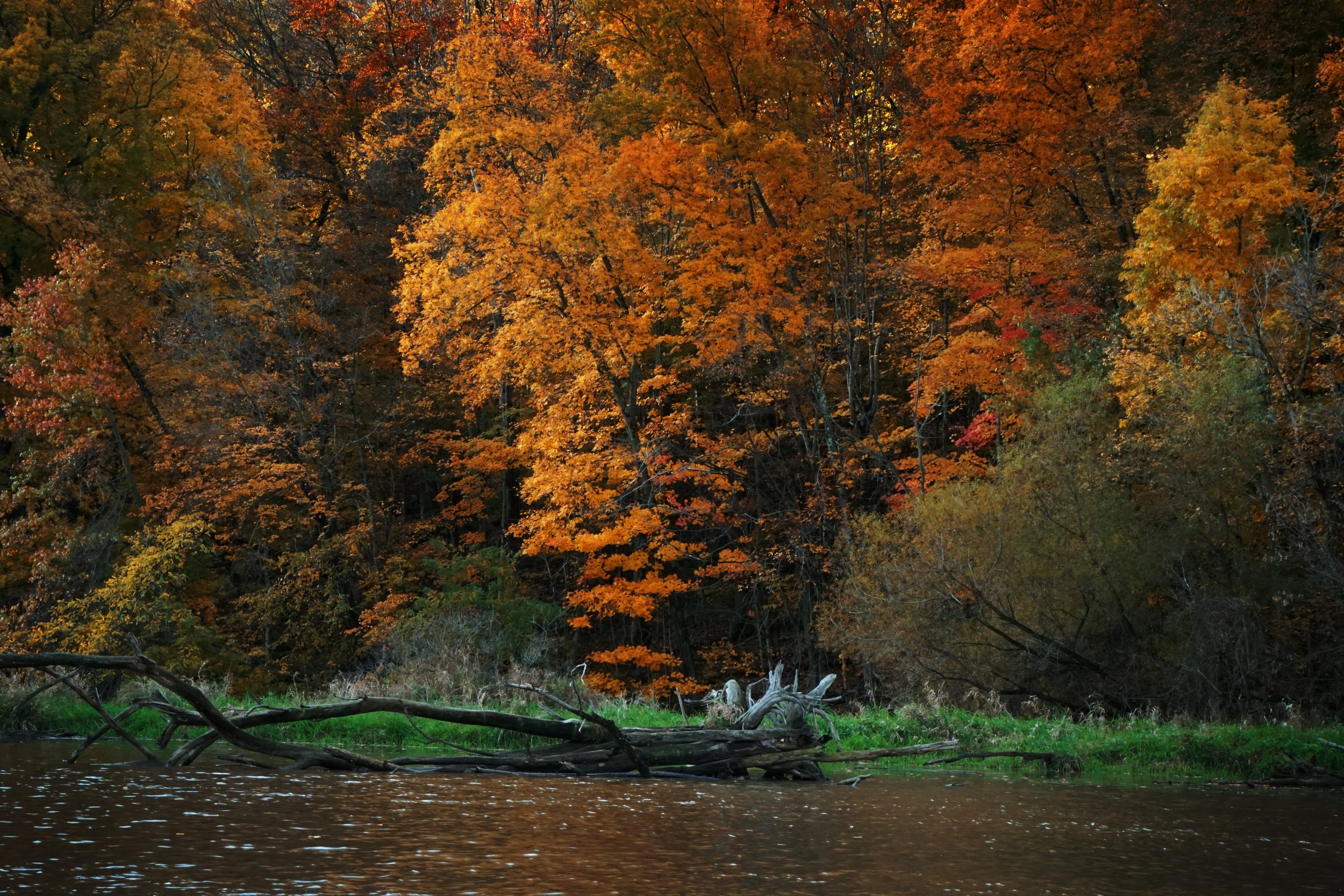 Autumn2.jpg