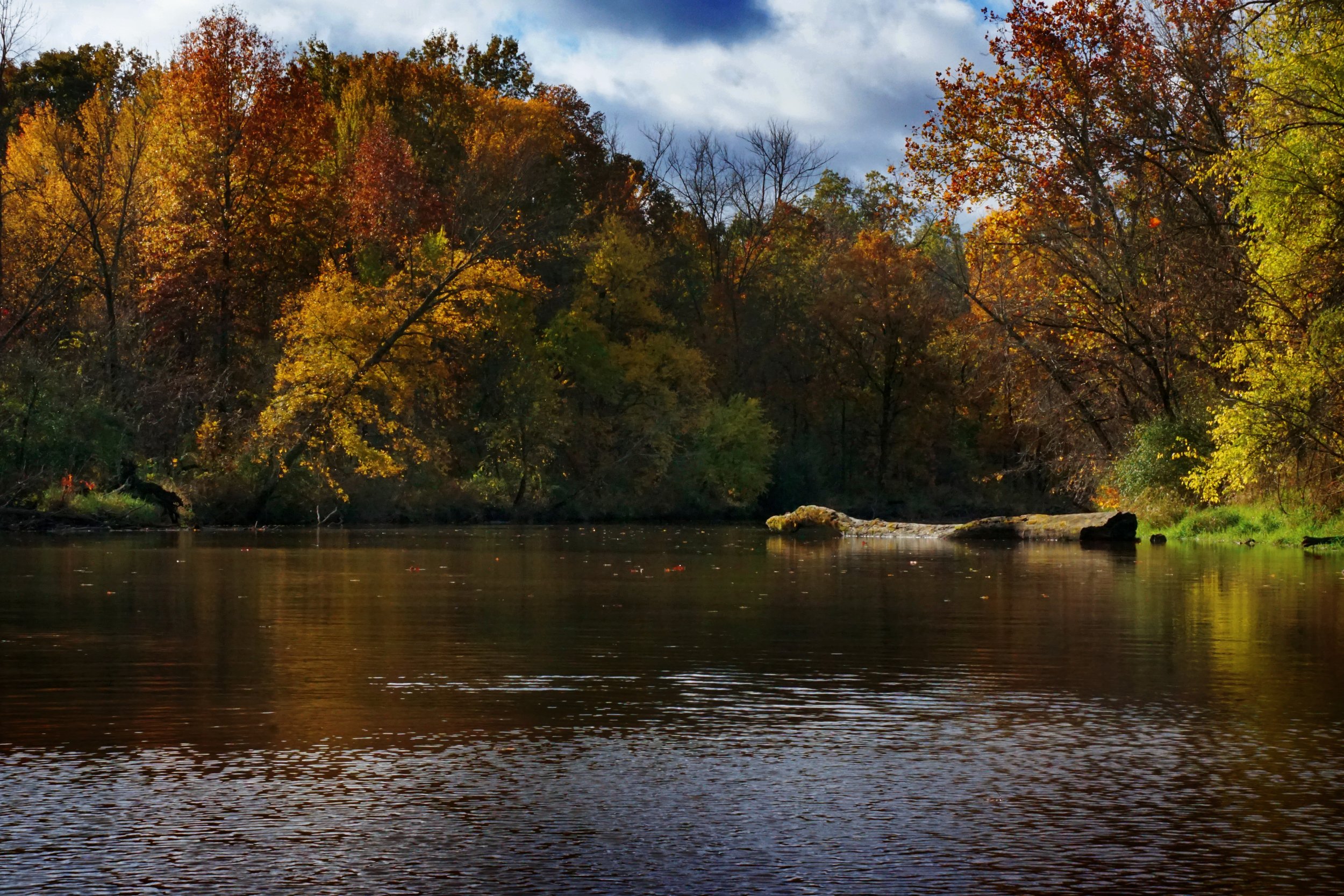 AutumnYay.jpg