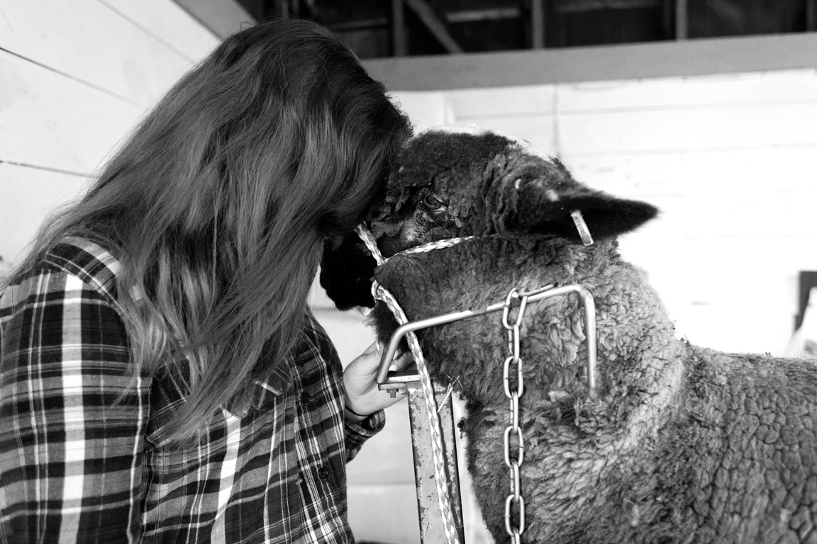 Girl with Sheep, 2014 | Columbia County Fair, NY