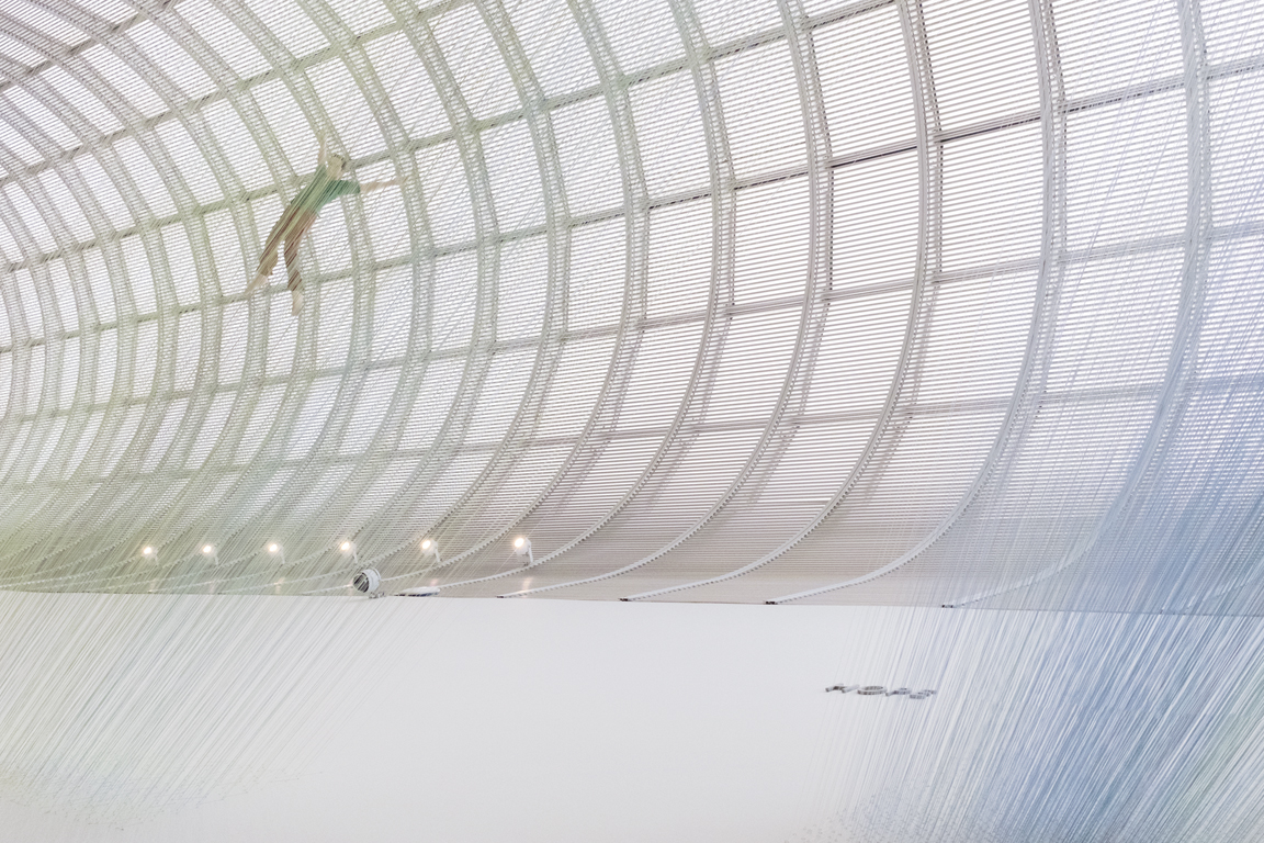 hope | mfa, 2016