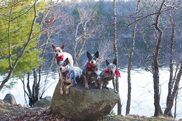 06-pamelajoye-portraits-in-the-woods.jpg