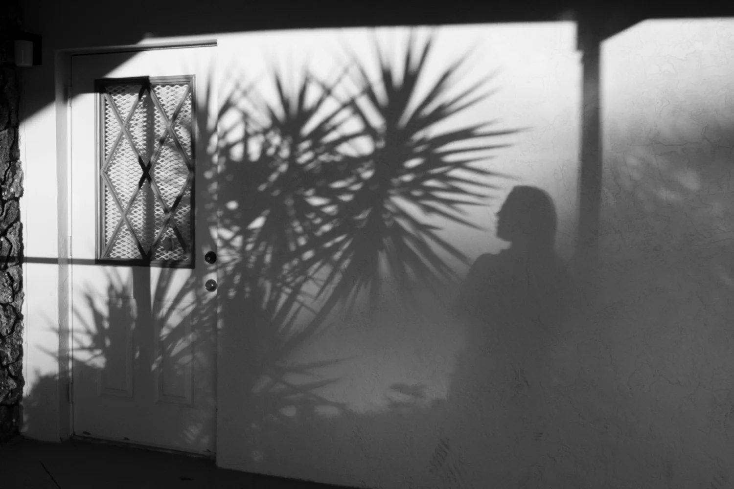 Self Portrait in Bonita Springs, Florida - 2016