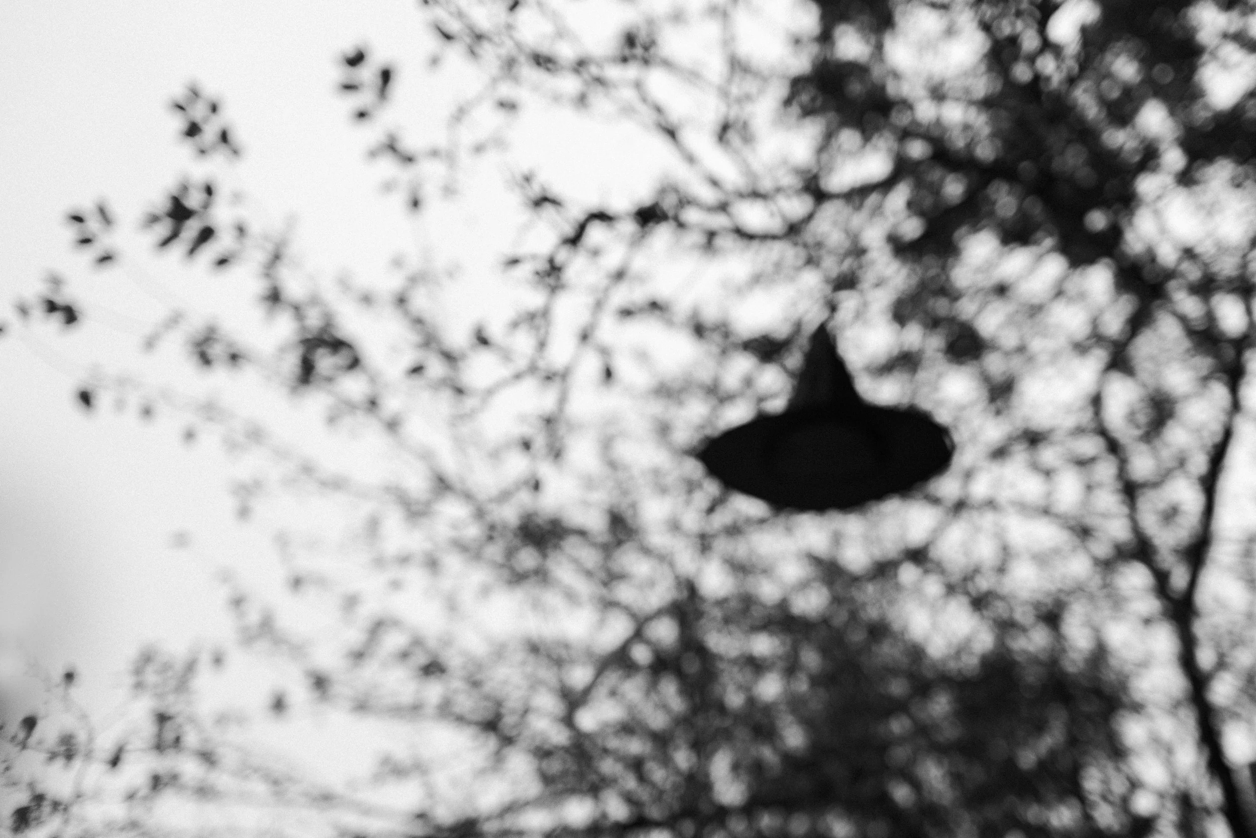 100123-salem-0005-Edit.jpg