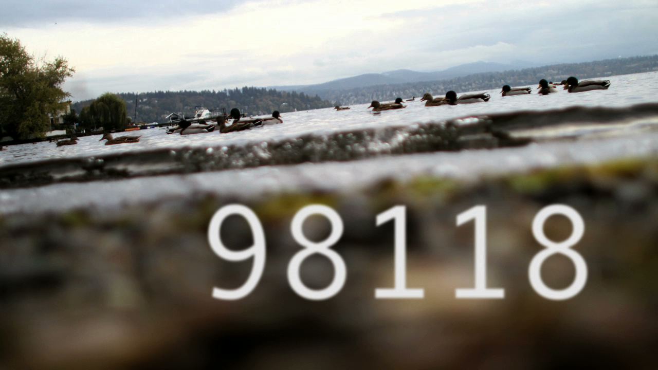 98118_open.jpeg