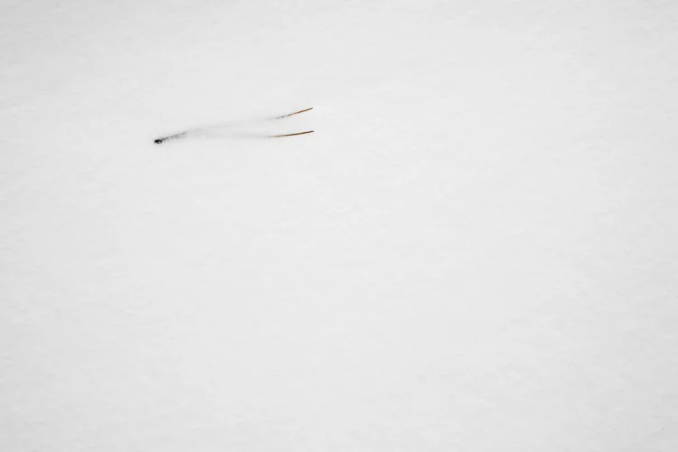 IMG_4316.jpg