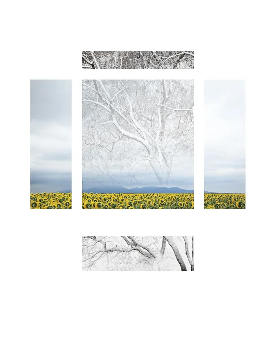 to everything there is a season-Edit-Edit-Edit-Edit.jpg