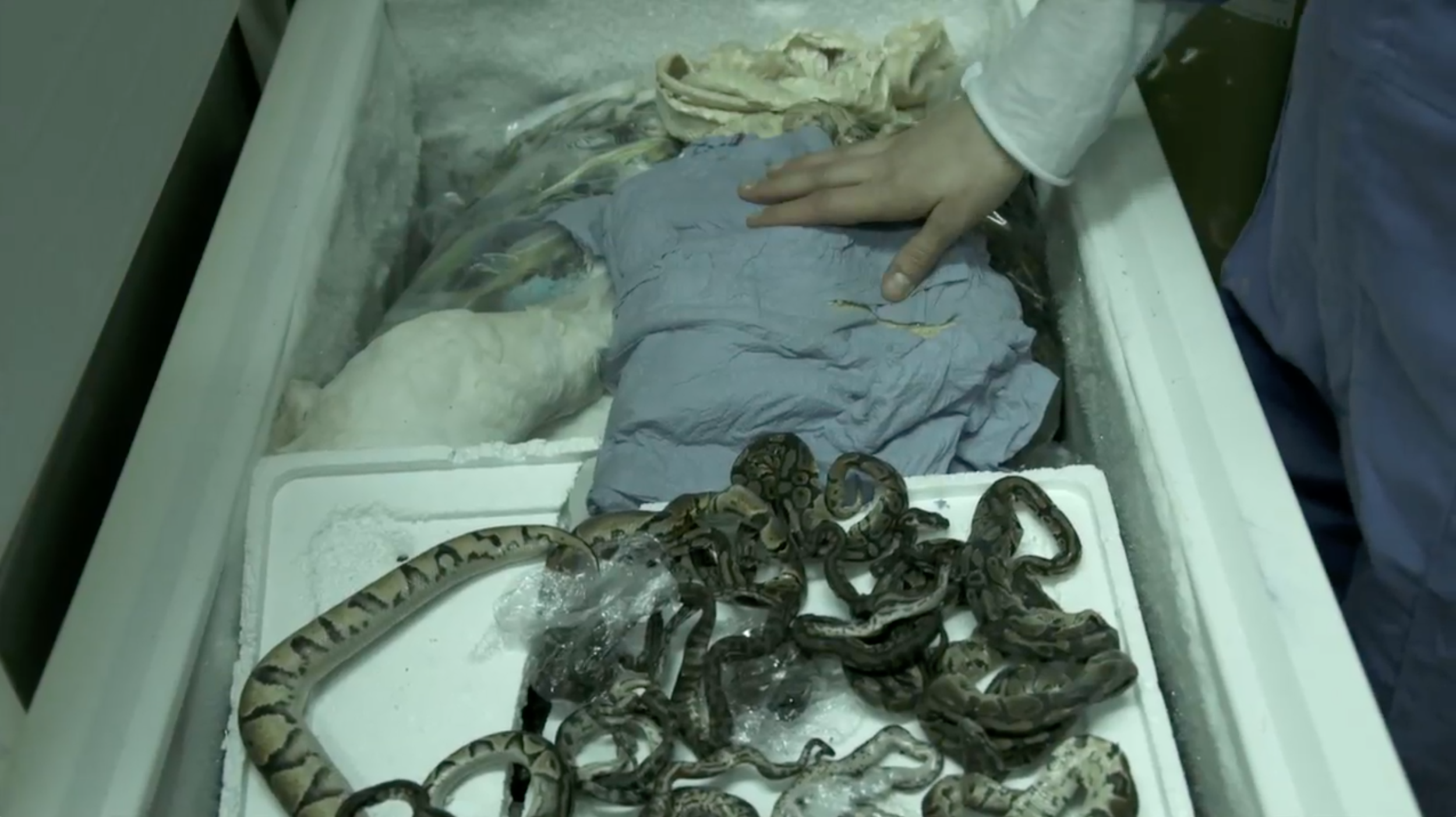 Screenshot 2020-06-18 at 14.13.46.png