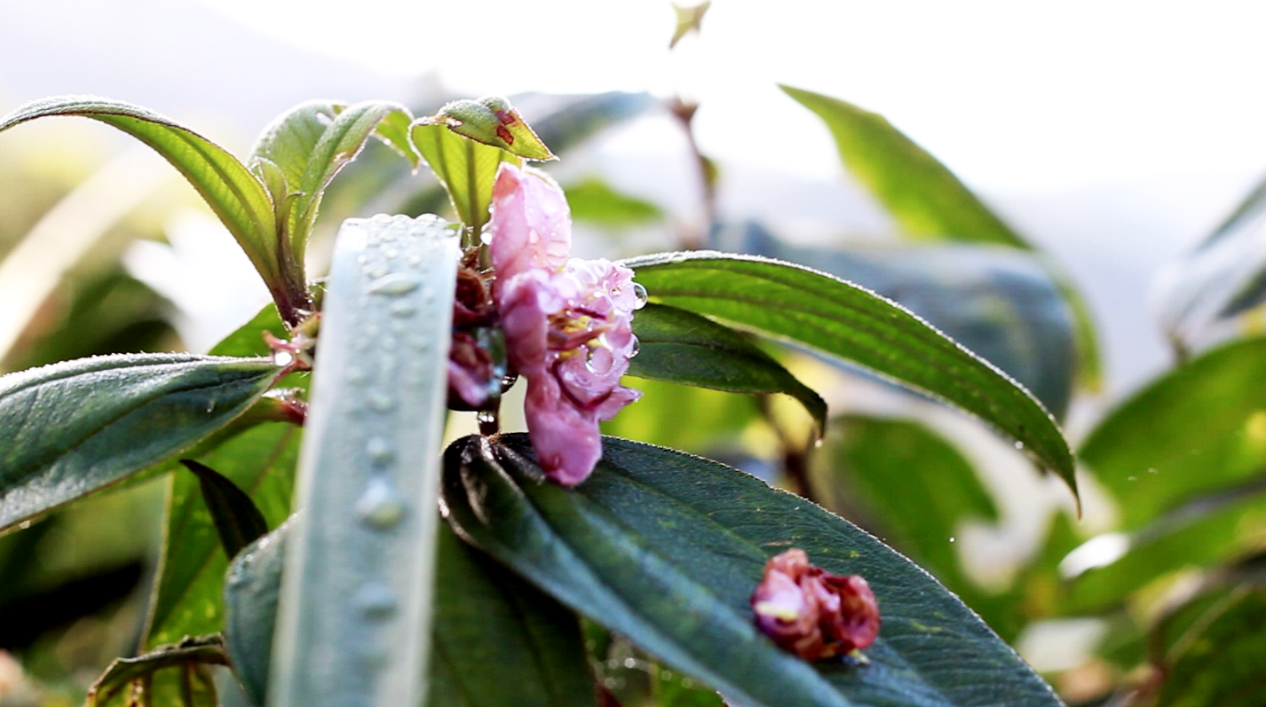 Screen shot 2012-08-16 at 5.57.25 PM.png