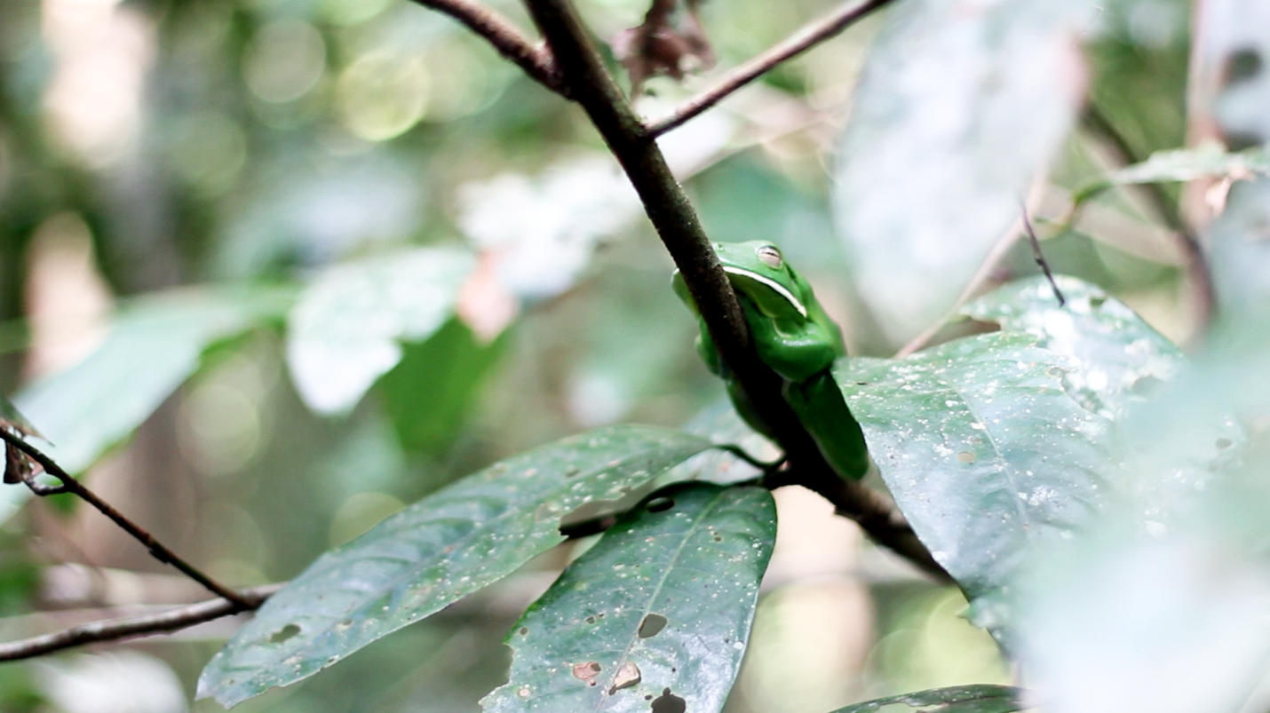 Screen shot 2012-08-16 at 5.40.34 PM.png