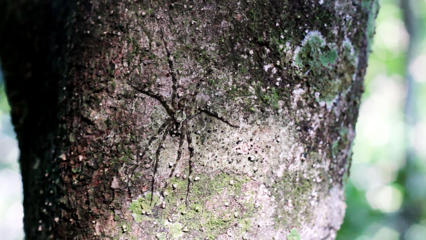 Screen shot 2012-08-16 at 5.48.59 PM.png