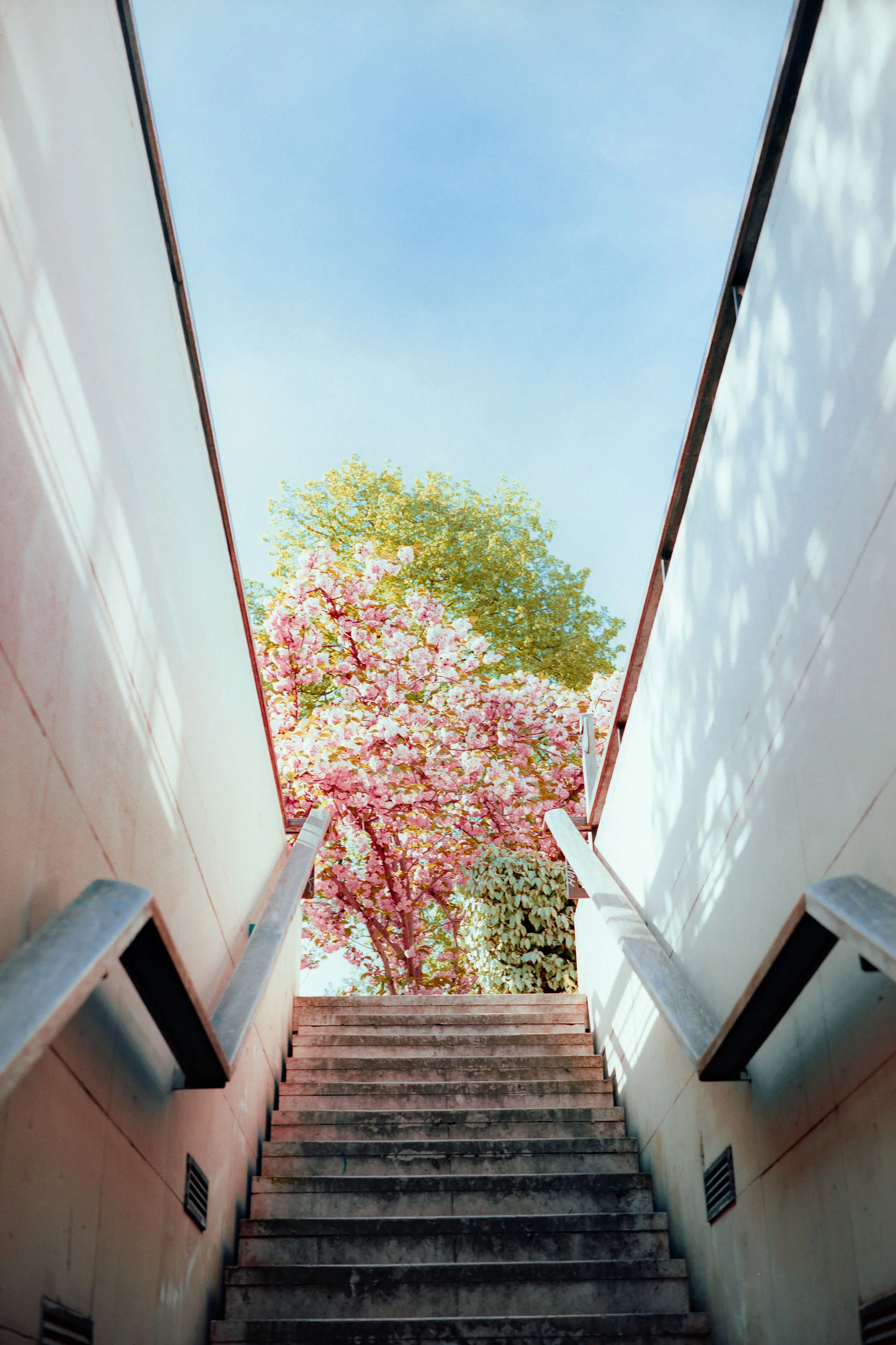 Mitchell Sturm - France 19.04.19-25.jpg