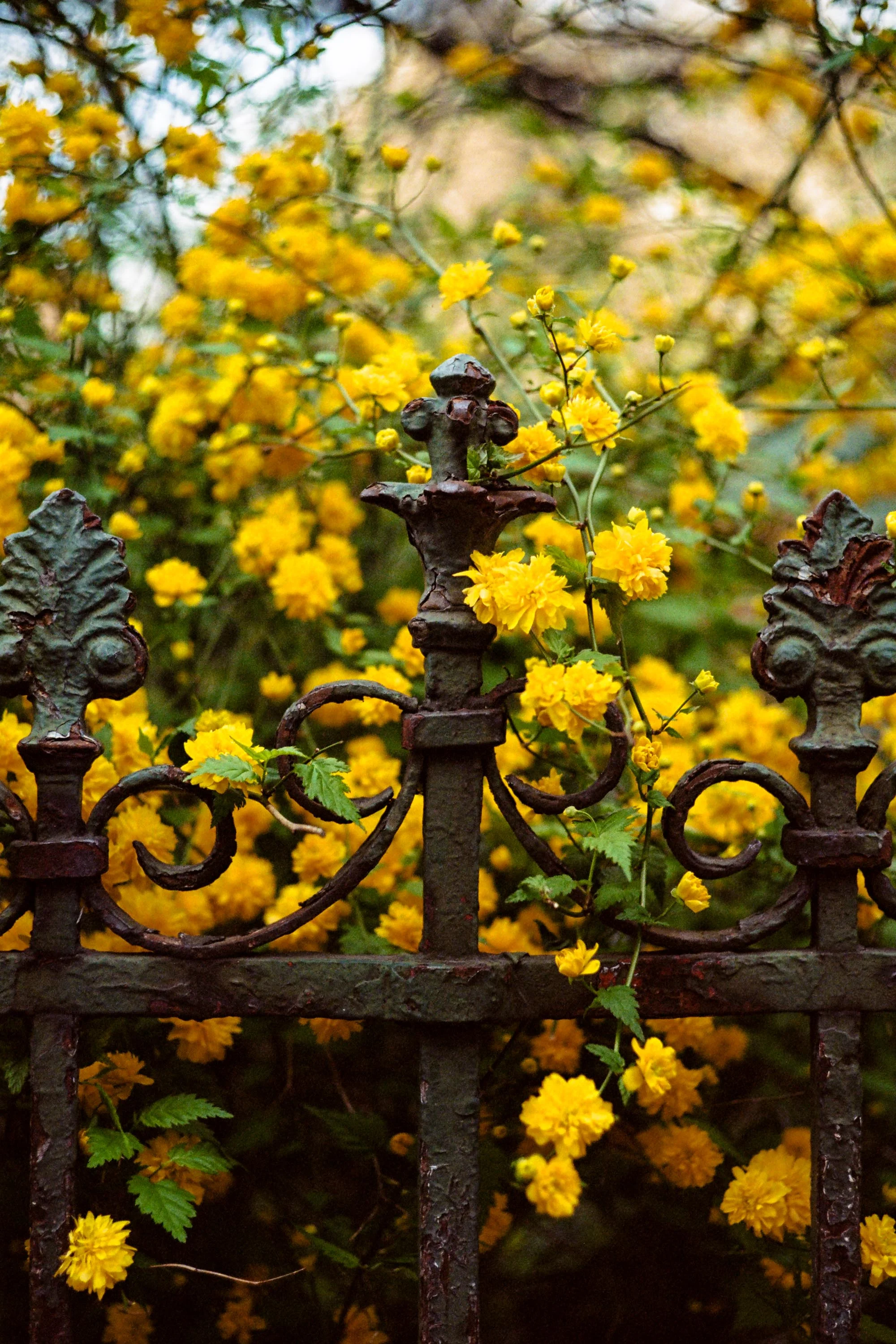 Mitchell Sturm - France 19.04.19-39.jpg