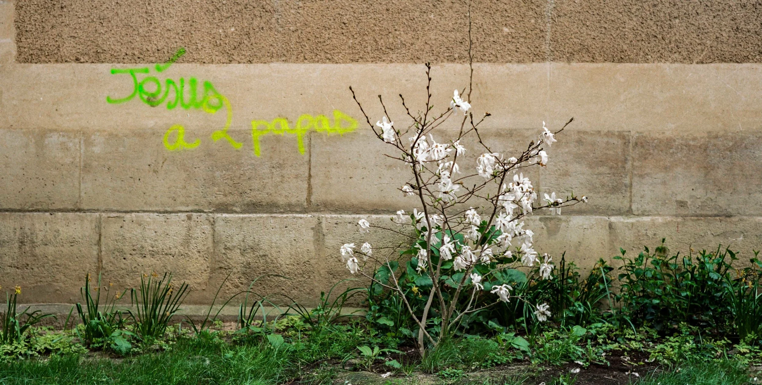 Mitchell Sturm - France 19.04.19-41.jpg