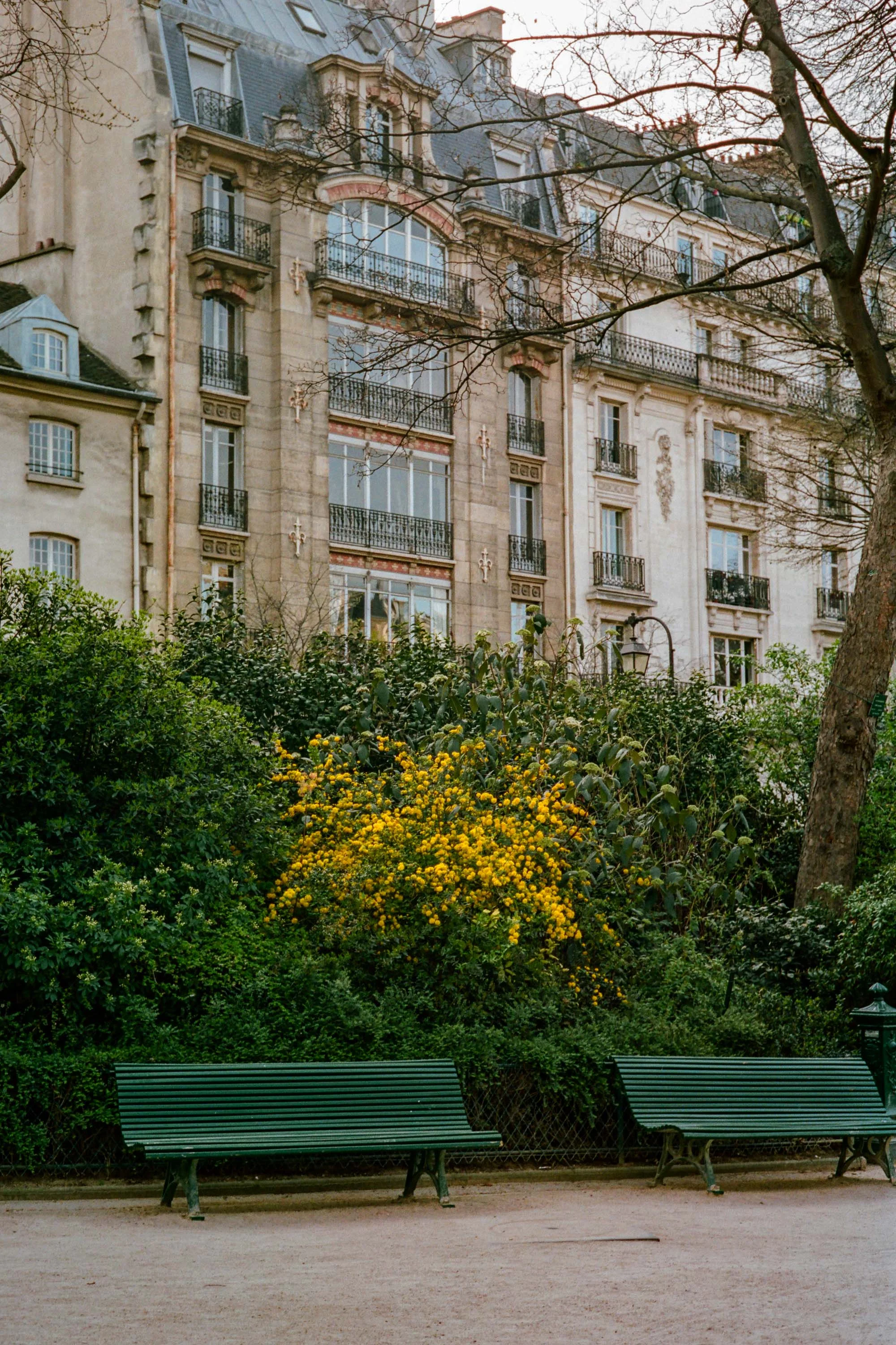 Mitchell Sturm - France 19.04.19-98.jpg