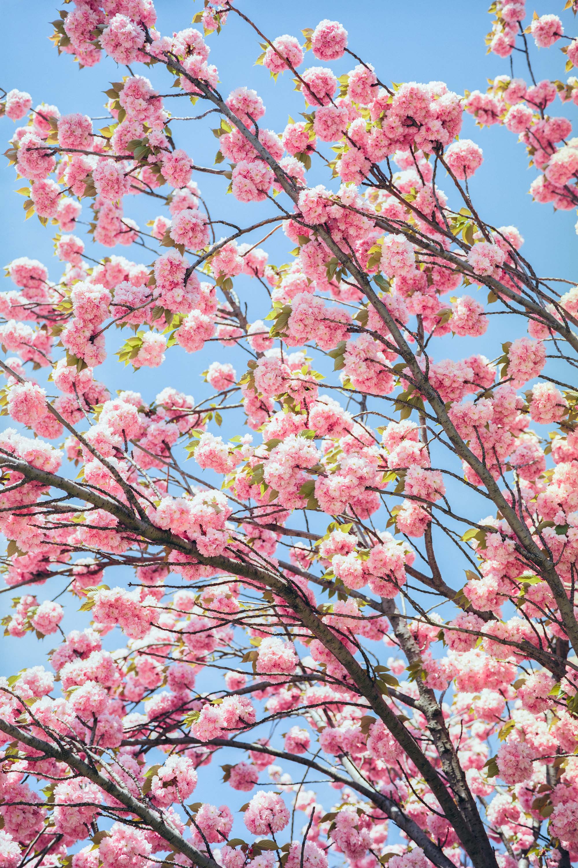 Mitchell Sturm - France 19.04.19-2.jpg