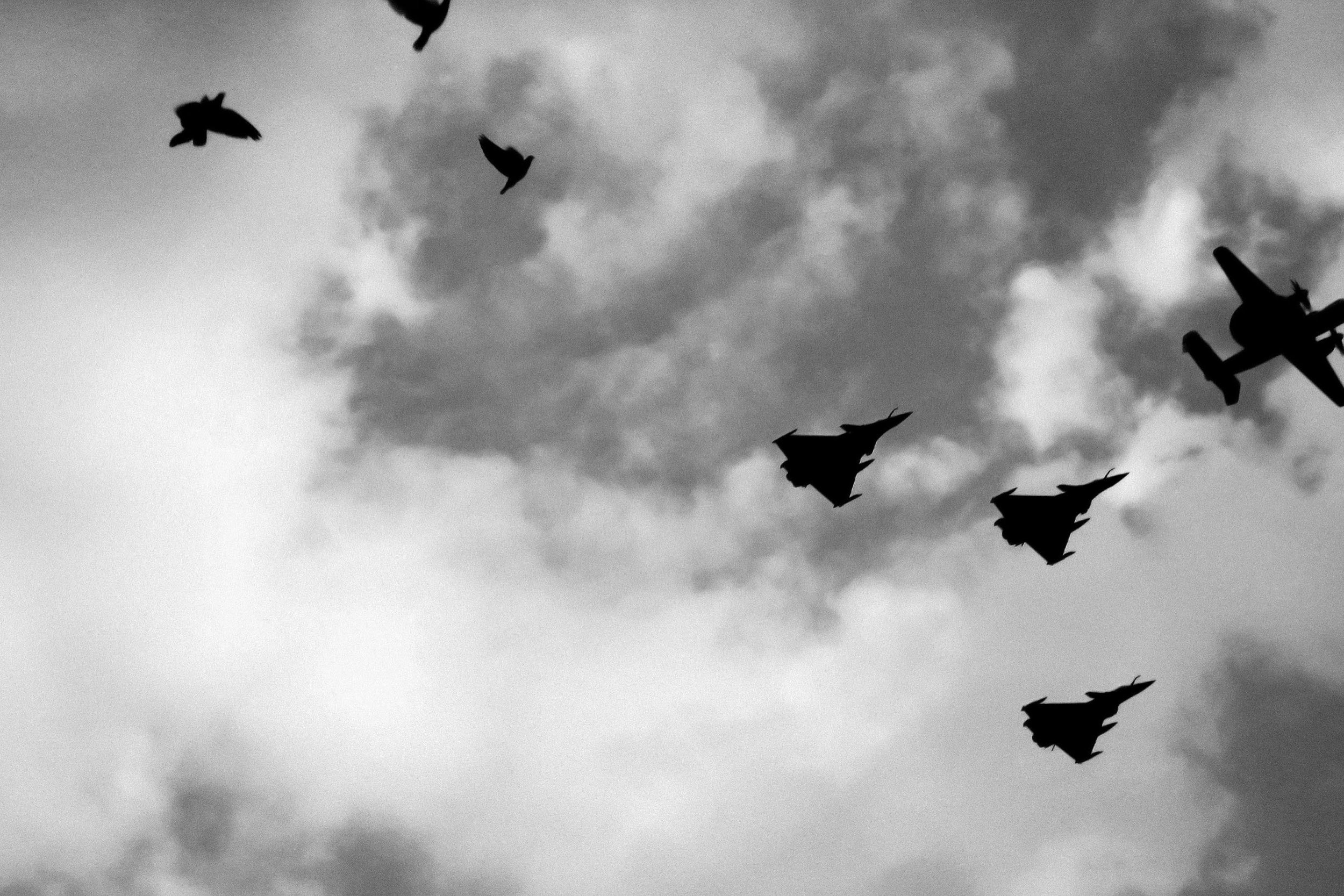 Mitchell Sturm - France 19.04.19-5.jpg