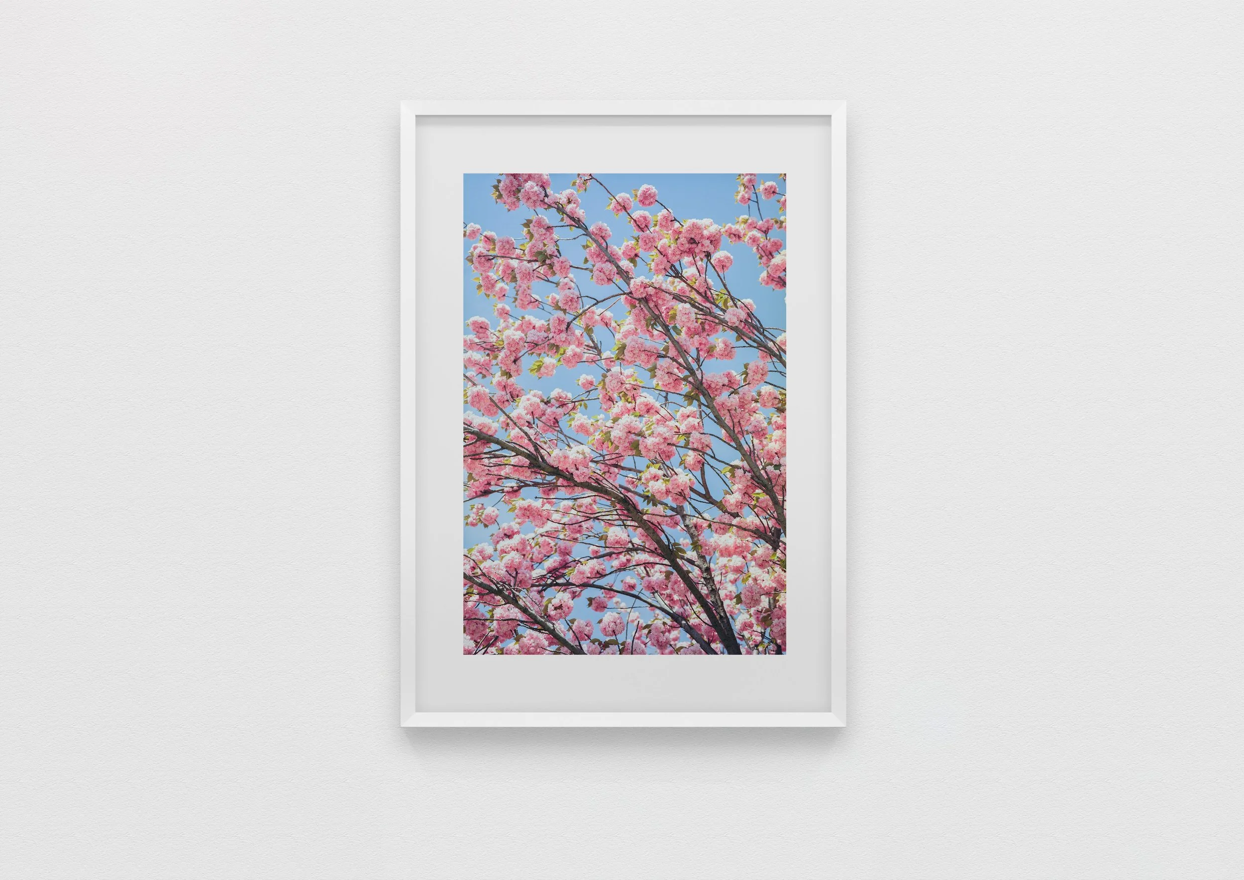 what Japan looks like, maybe. Paris, France 2018 40 x 60 Archival Print, 50 x 70
