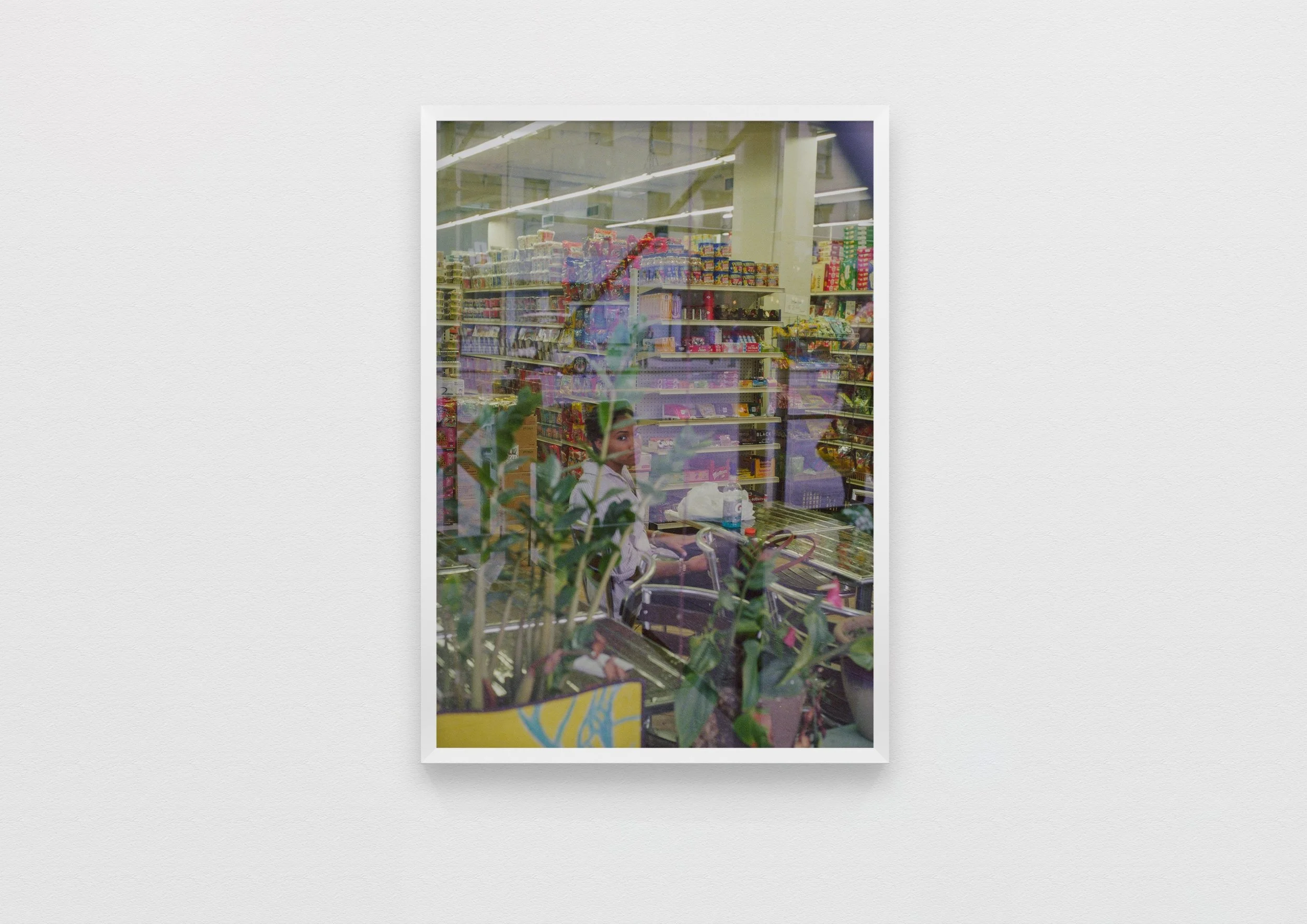   she told me she lived to escape the concrete jungle. I hadn’t the heart to tell her there was no jungle left.  New York, USA 2015  50 x 70 Archival Print 