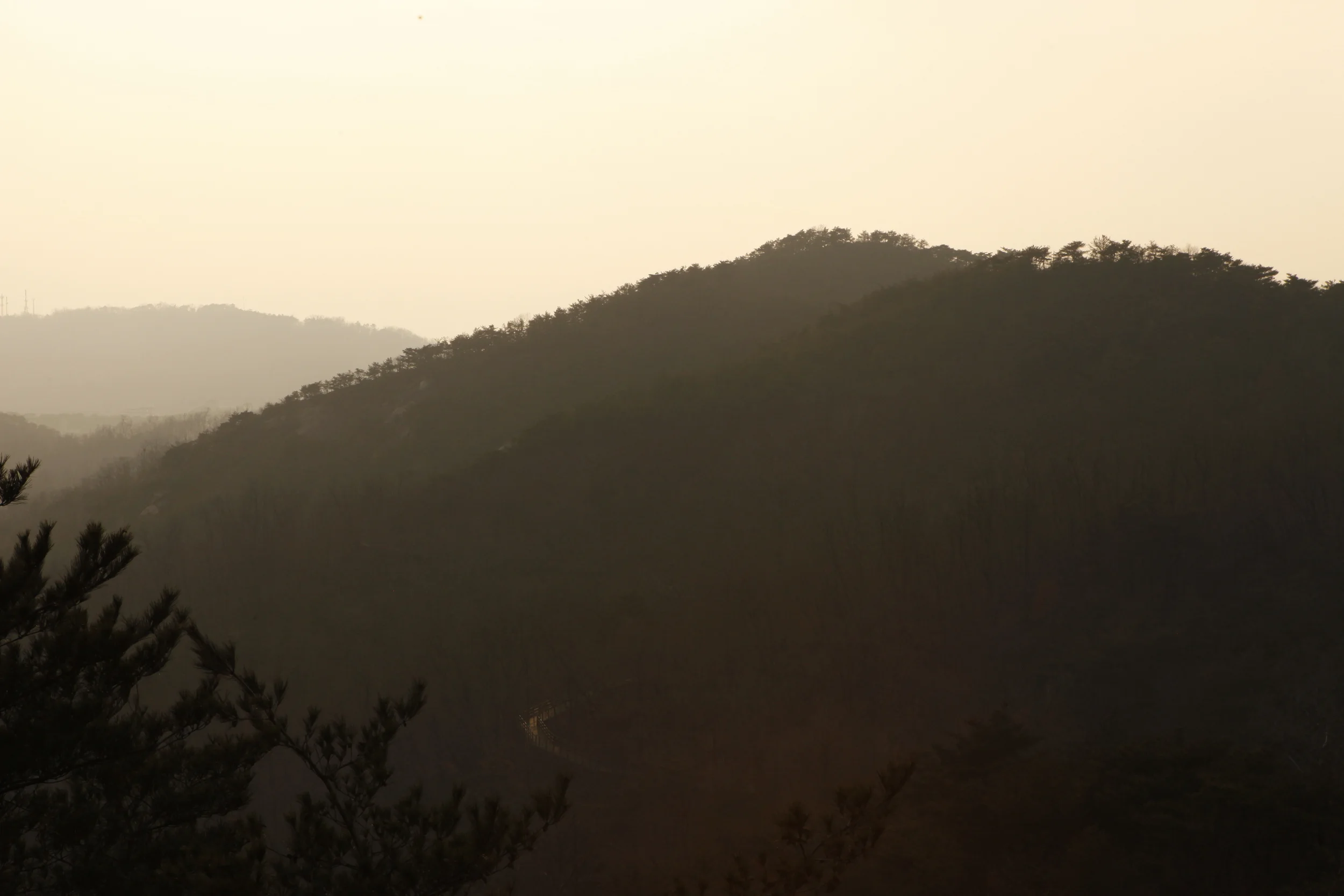 _MG_9730.JPG