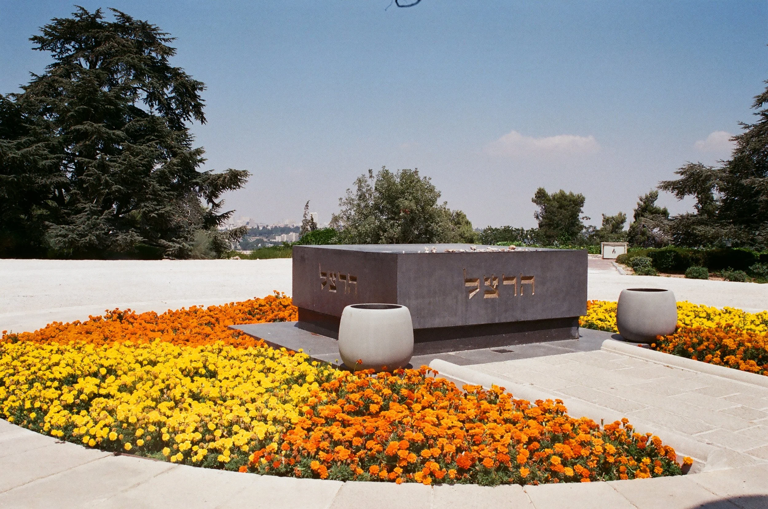 33720010.JPG