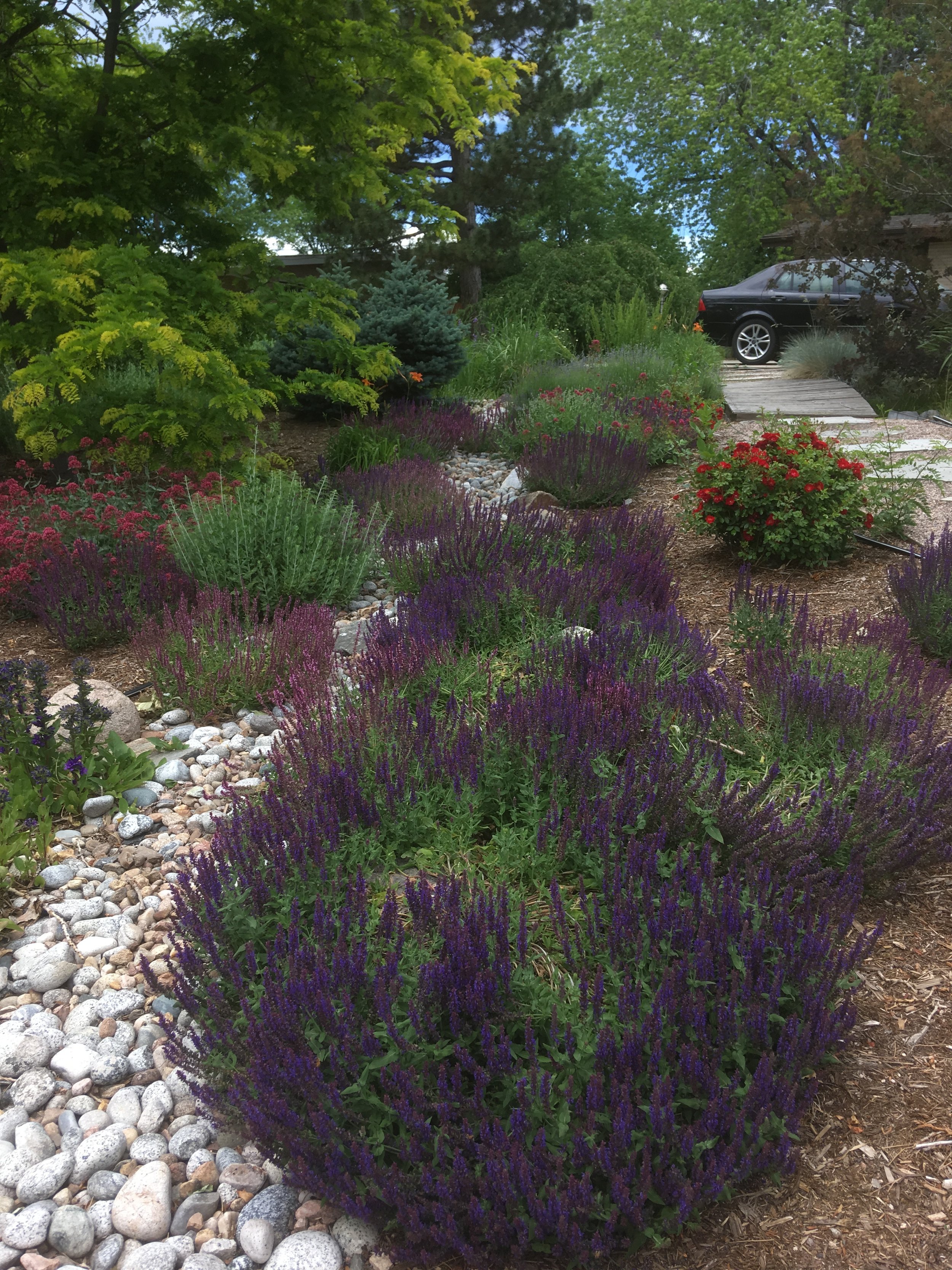 garden area