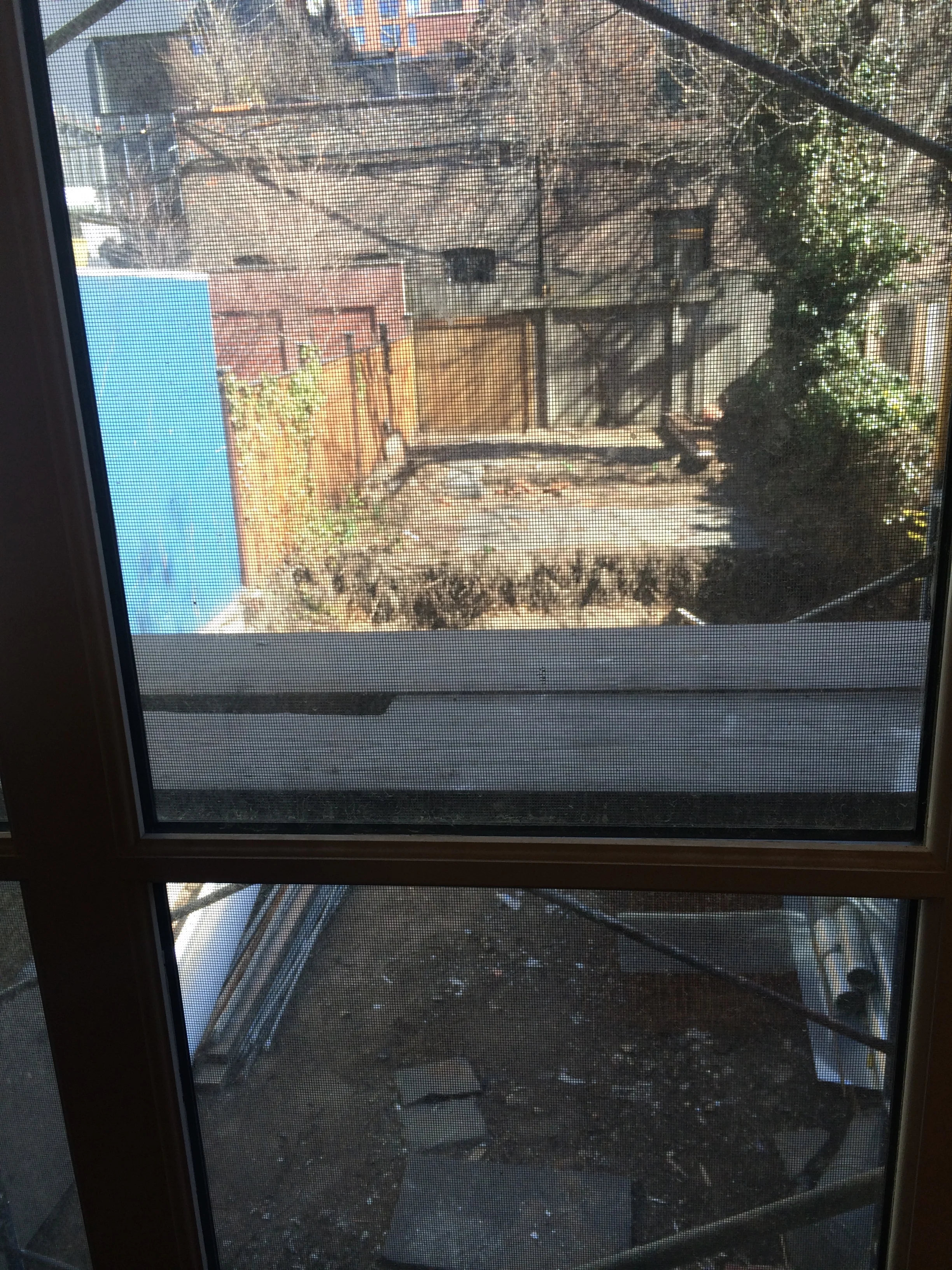 Cobble Hill Brooklyn / BEFORE