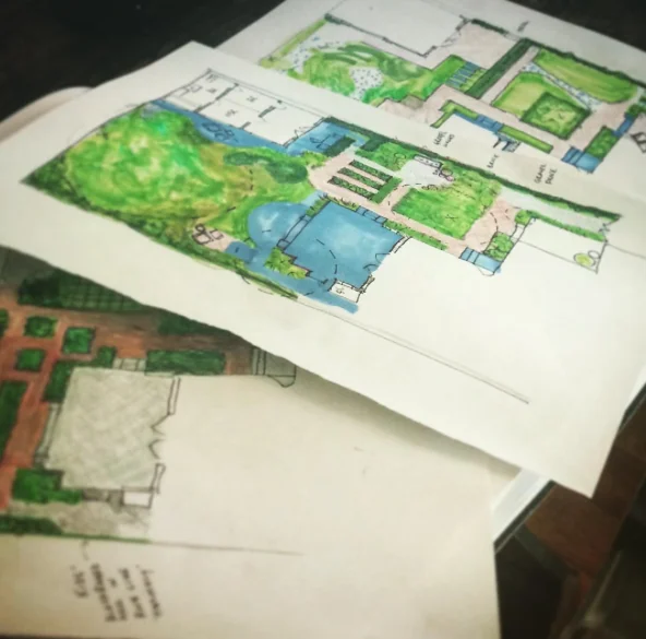 Schematic design (3 options, preliminary design phase) for Los Angeles backyard garden.