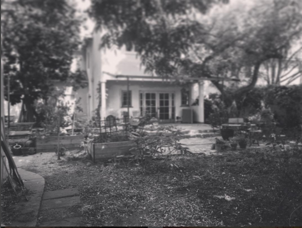 BEFORE image of a Los Angeles backyard--design underway!