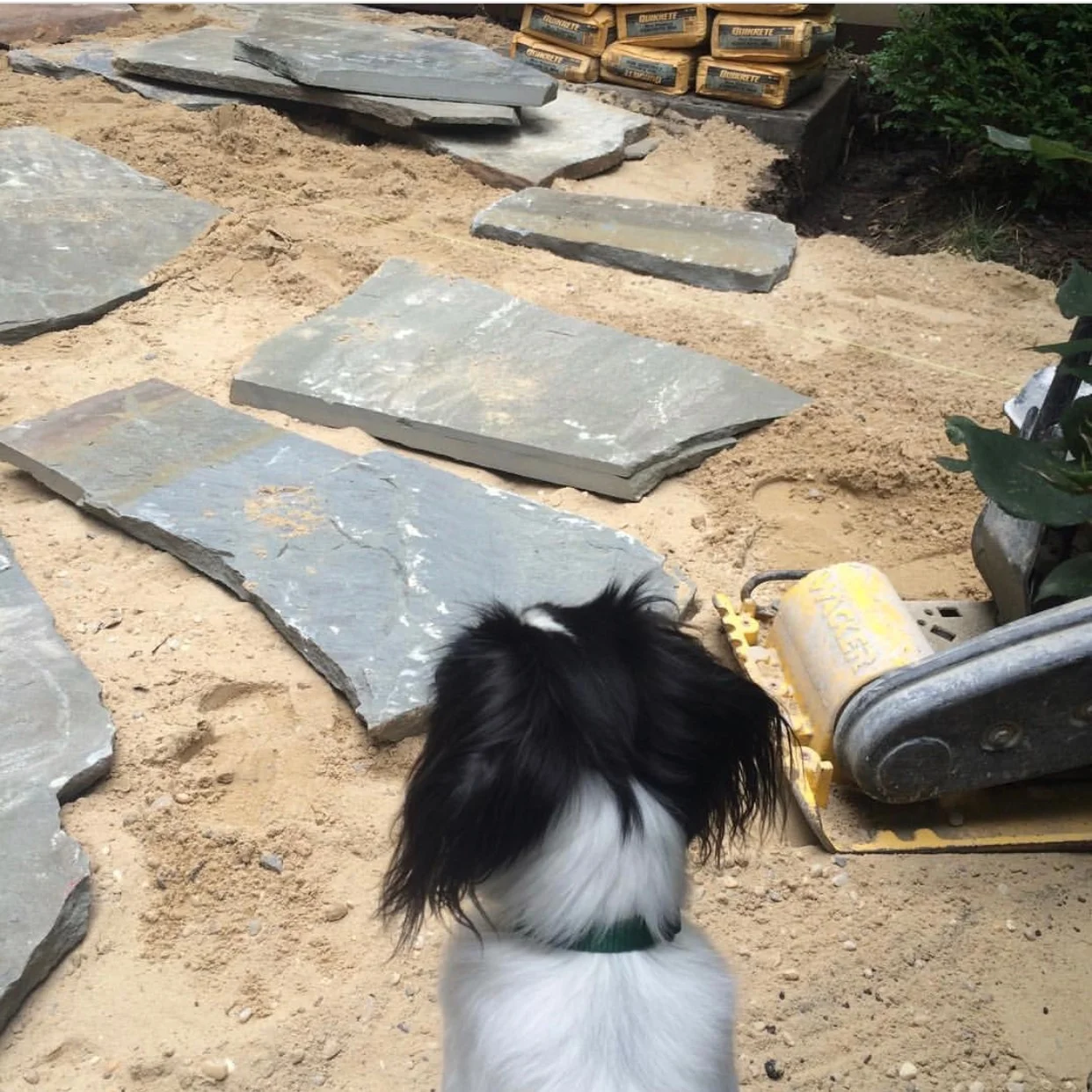 Check out some before-and-afters! In this case, a "middle" photo, above, showing (very) large irregular bluestone pavers being dry-set in a backyard where lawn was a continual disappointment.