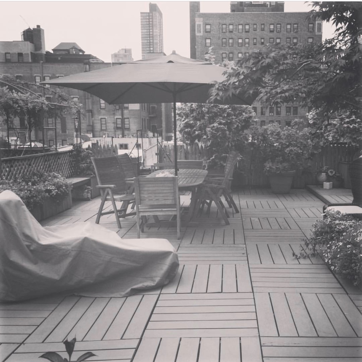 How to Get a Garden on the Roof, for Condo, Co-op, and Brownstone Owners 🏡🌲🌾